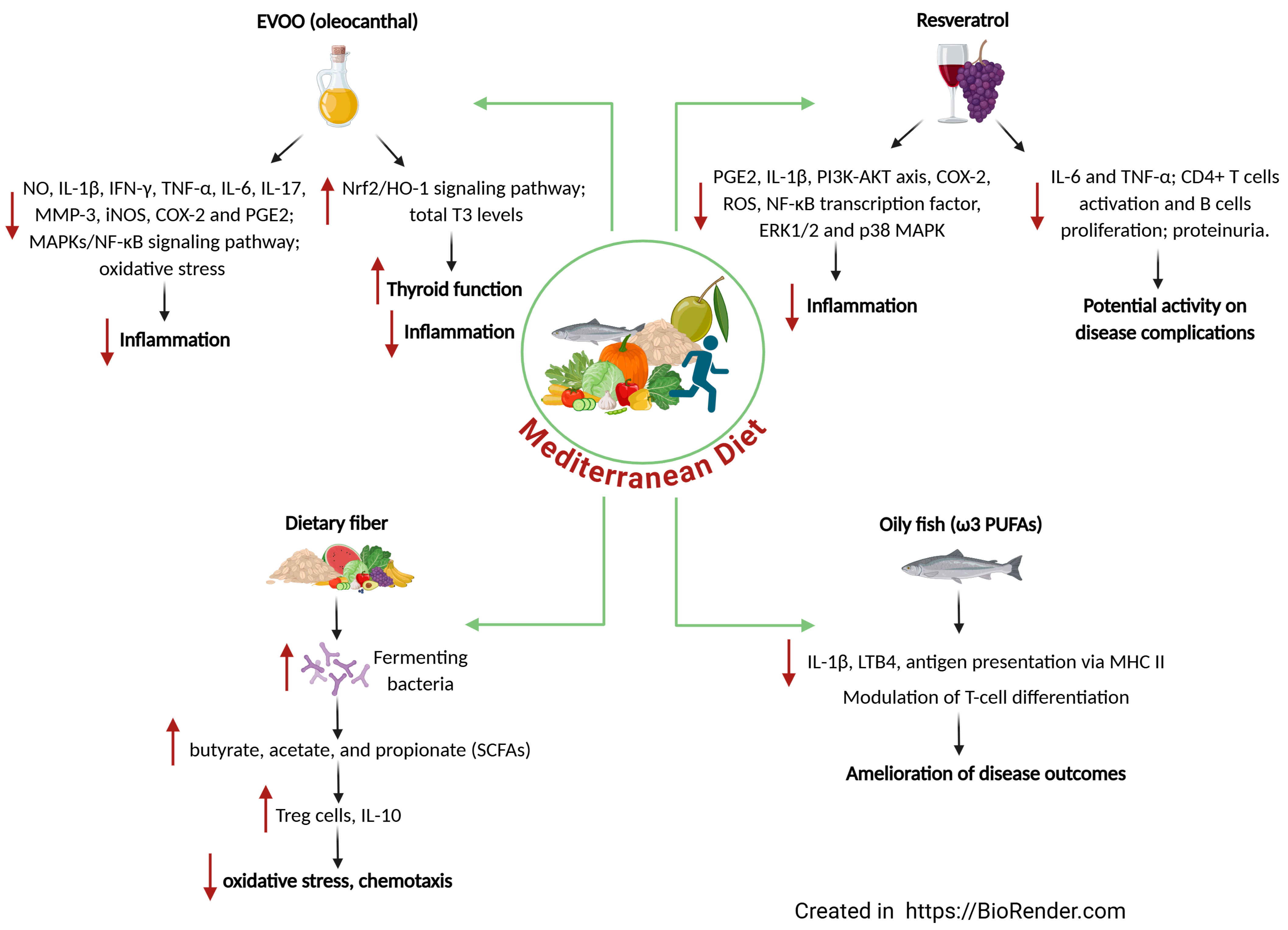 Nutrients 17 01383 g001