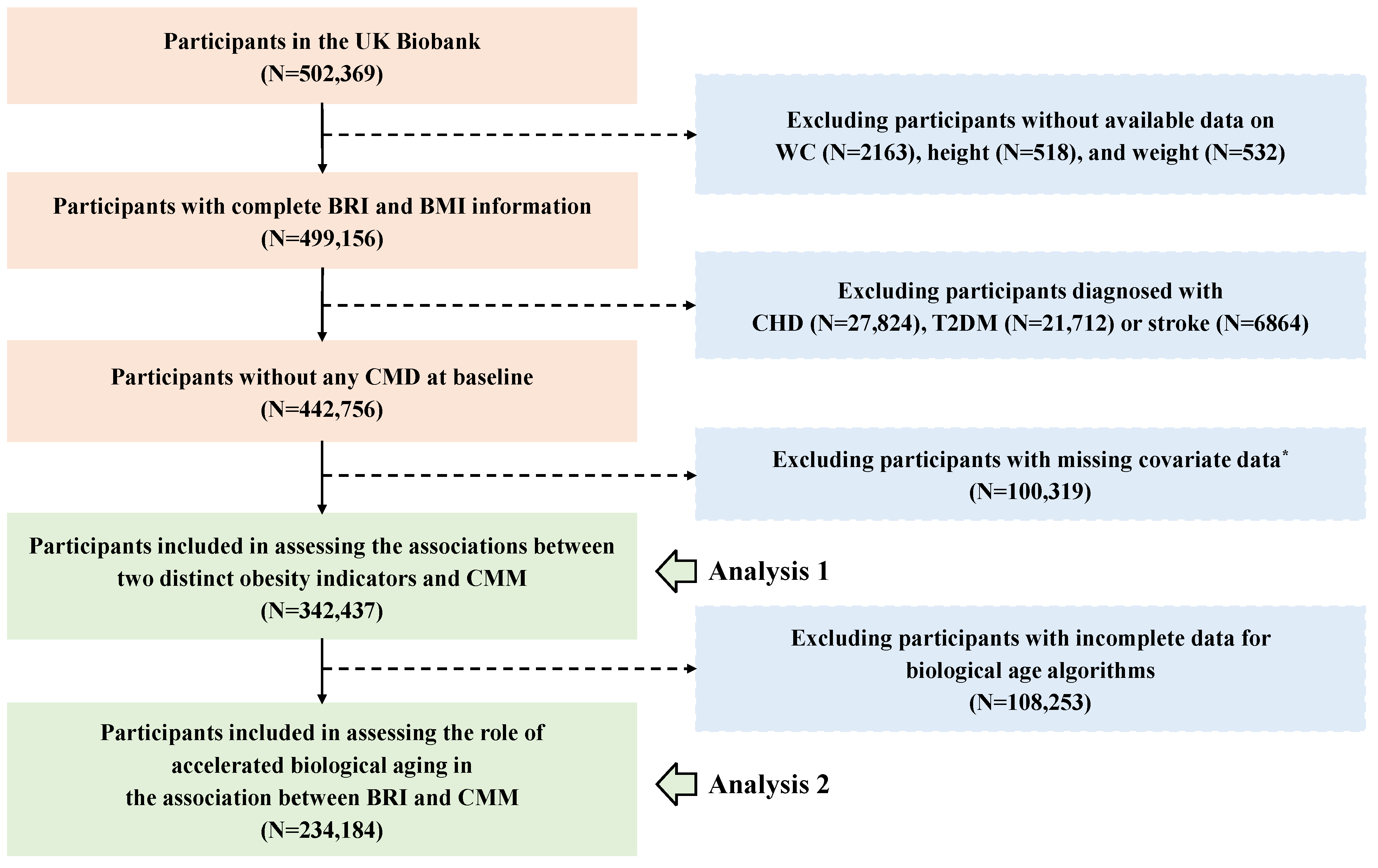Nutrients 17 01397 g001