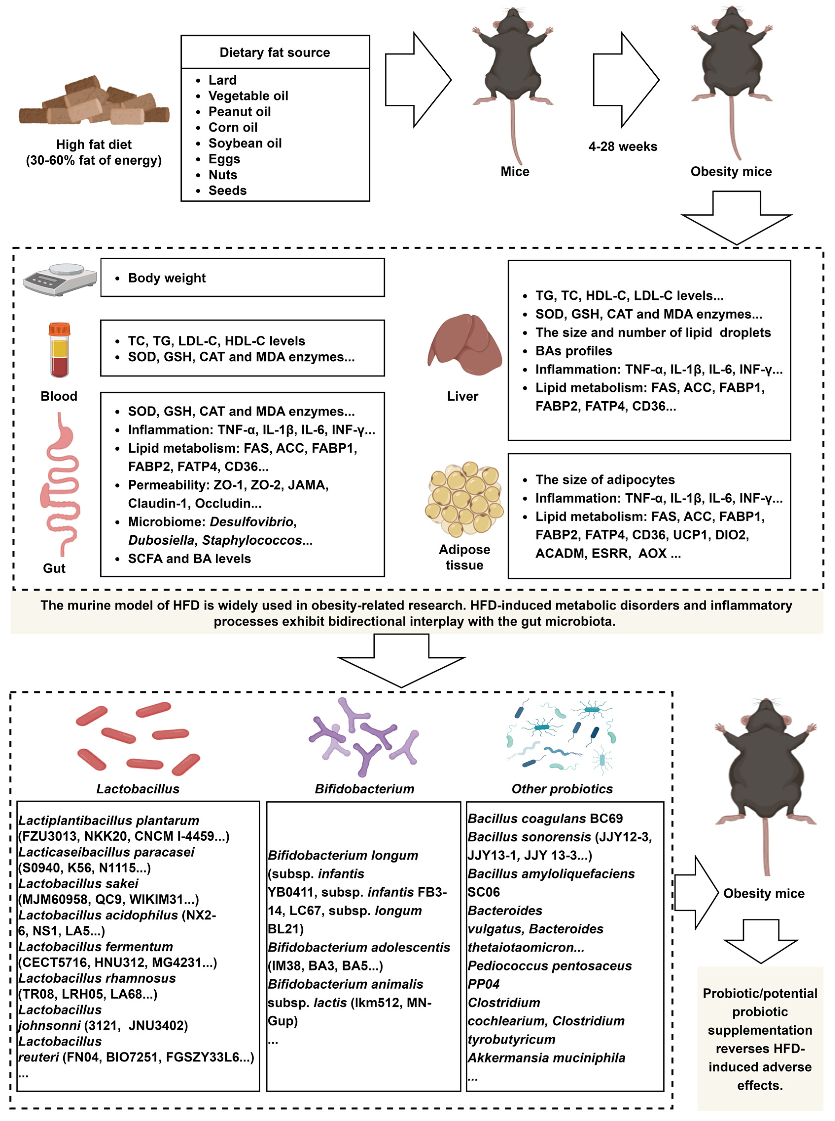Nutrients 17 01402 g001