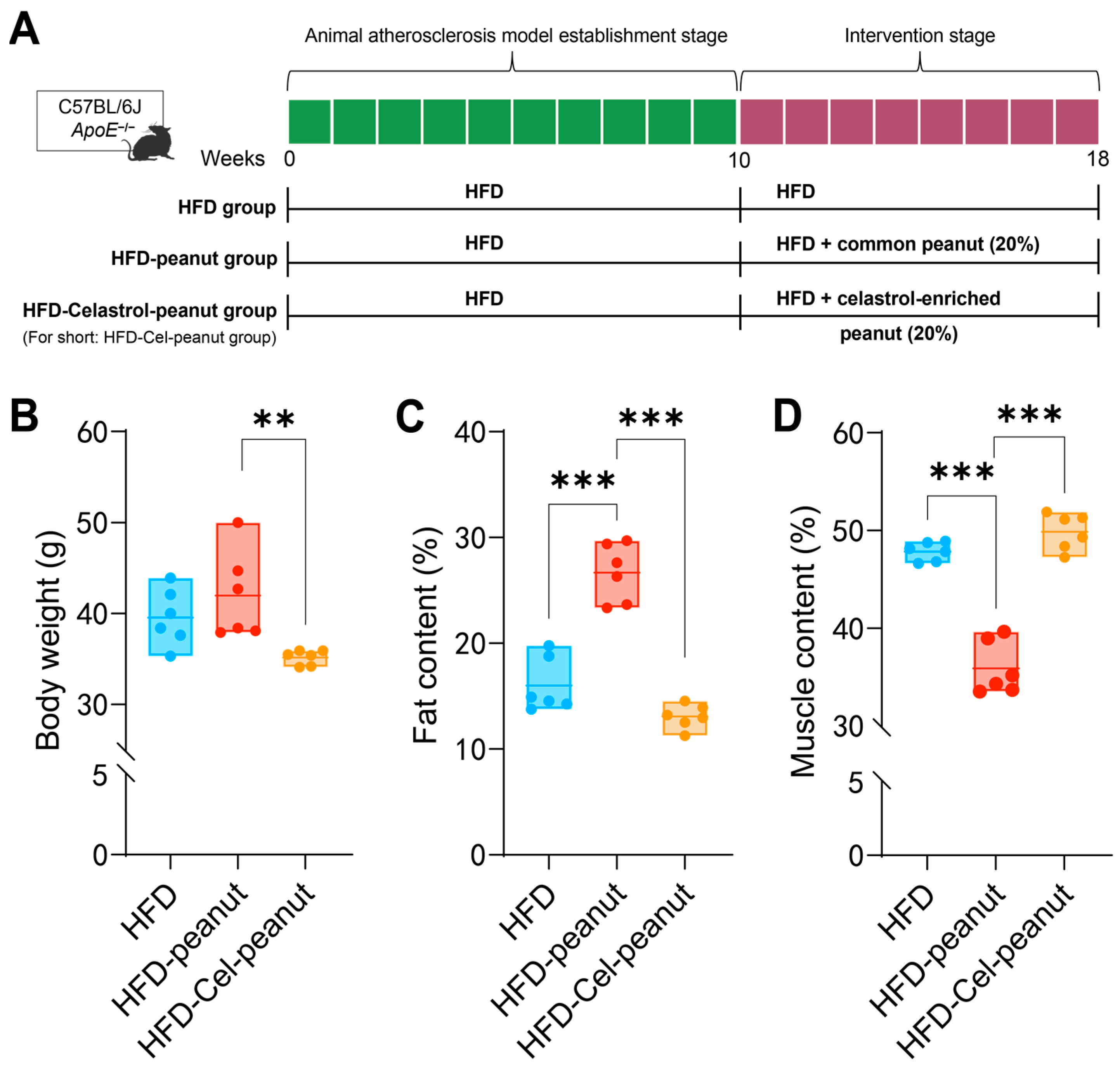 Nutrients 17 01418 g001