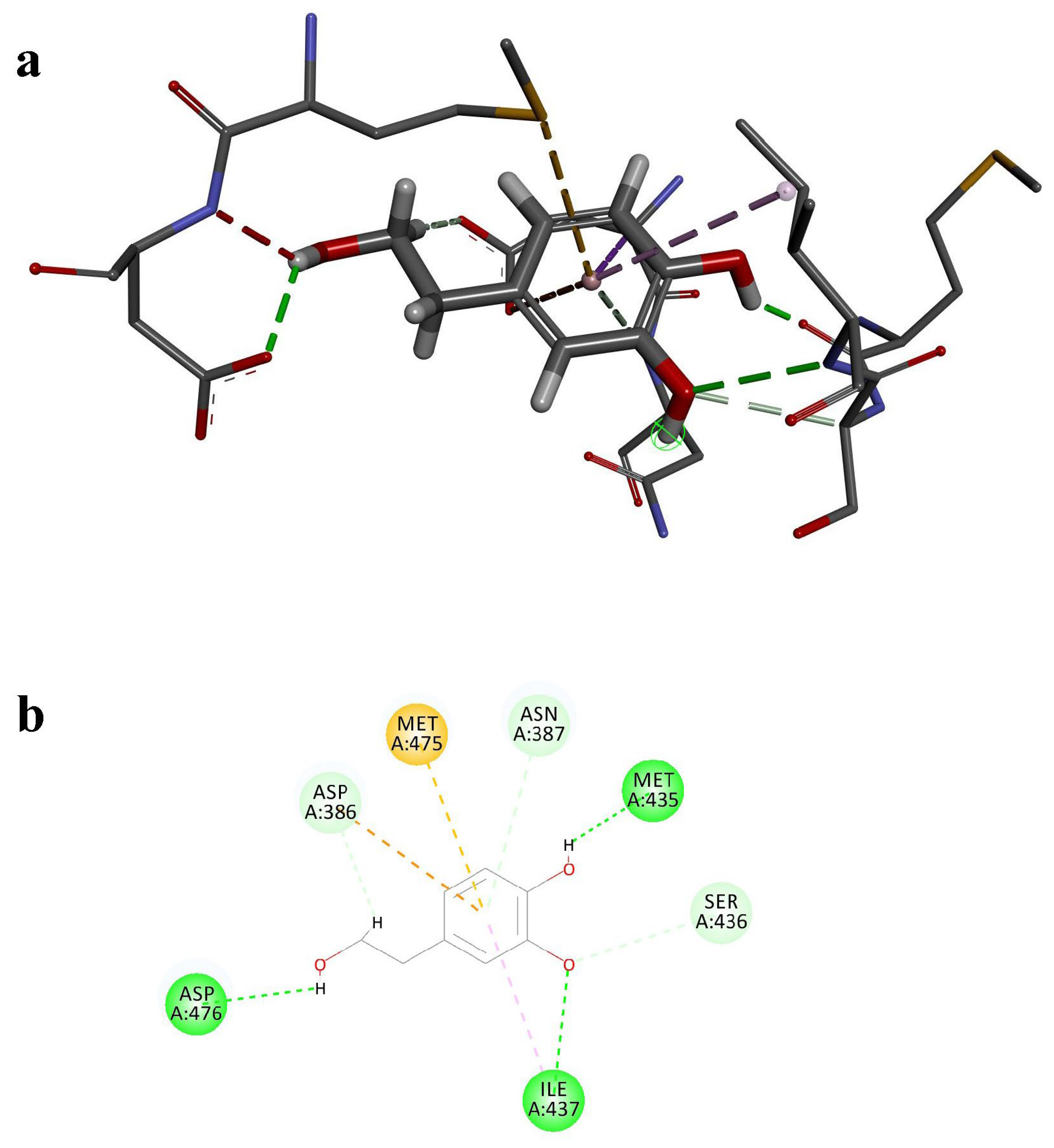 Nutrients 17 01421 g004