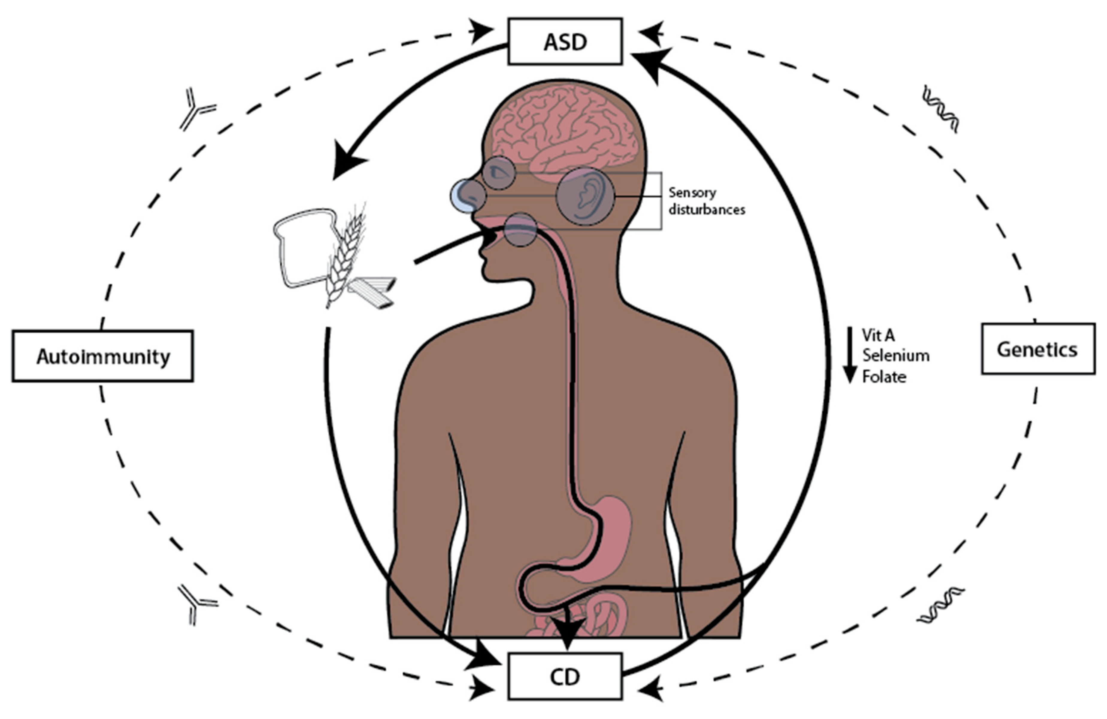 Nutrients 17 01439 g002