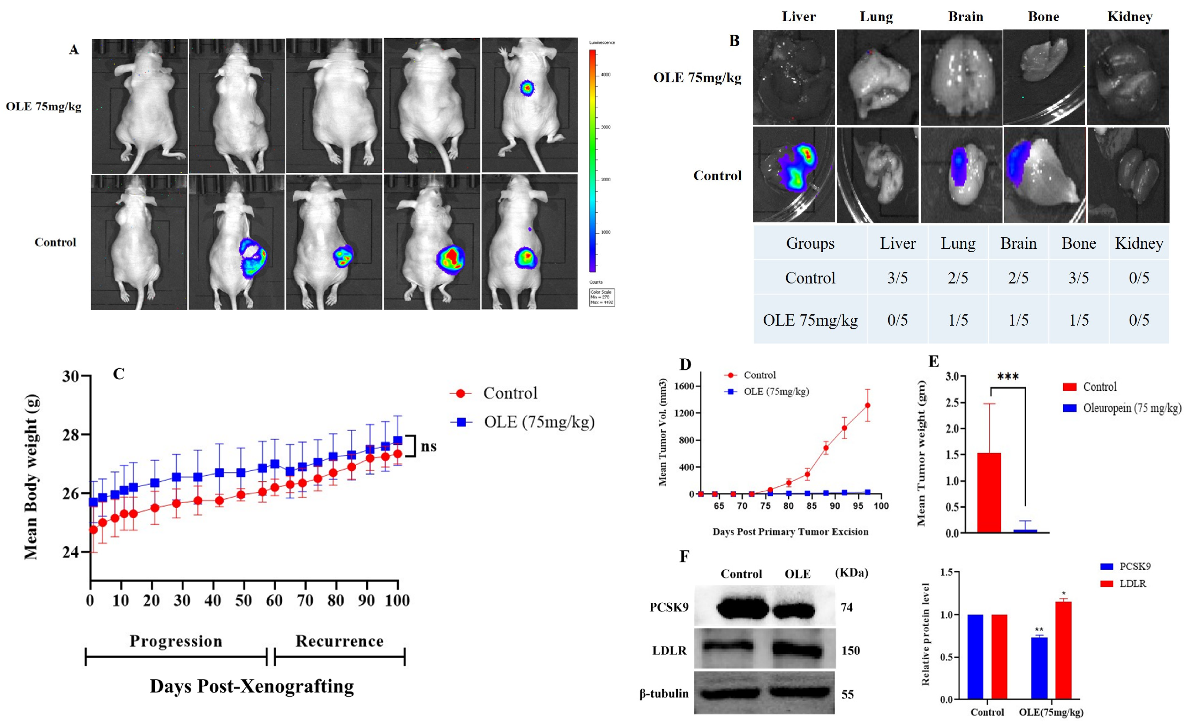 Nutrients 17 01445 g009