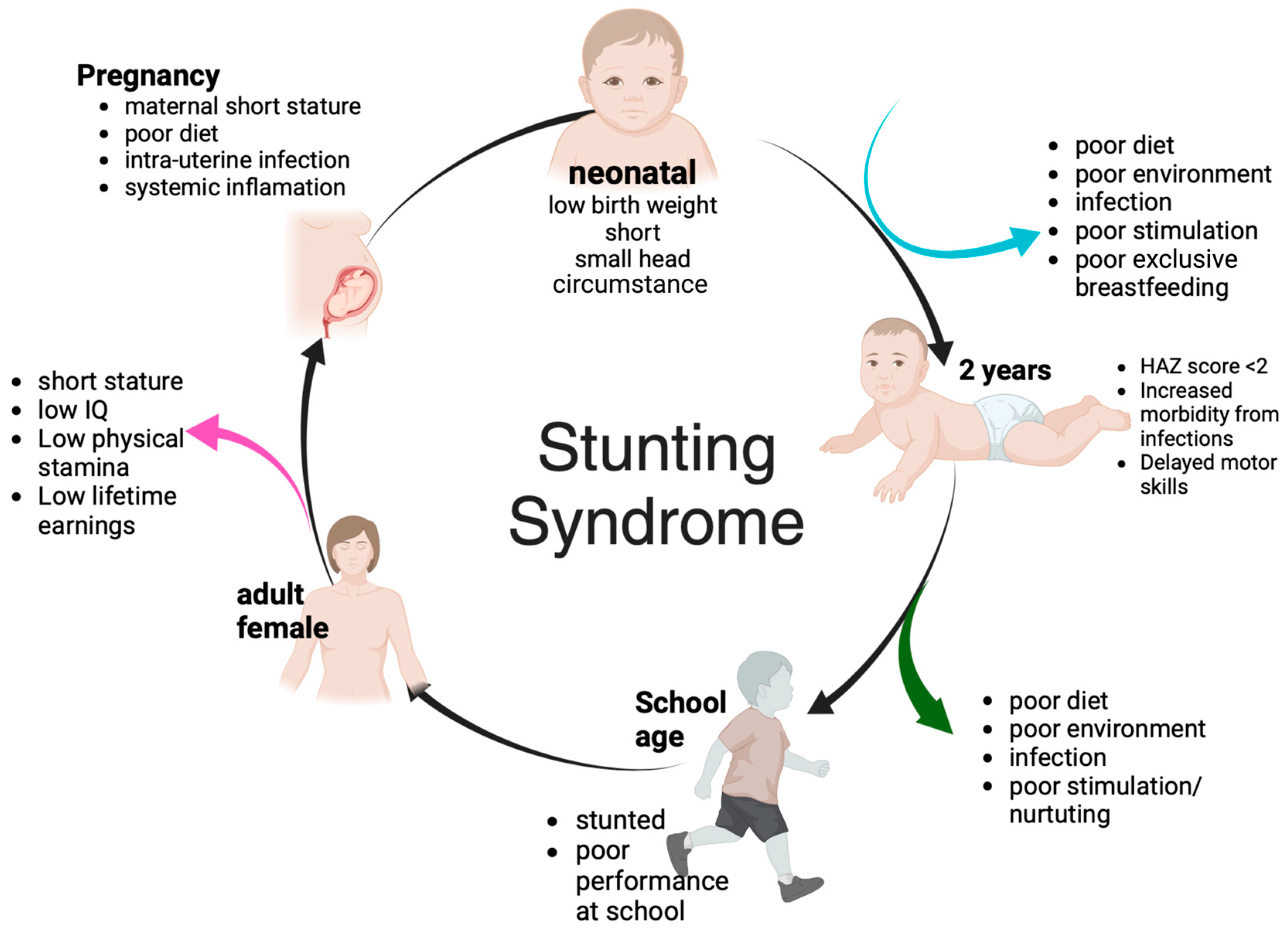 Nutrients 17 01493 g001