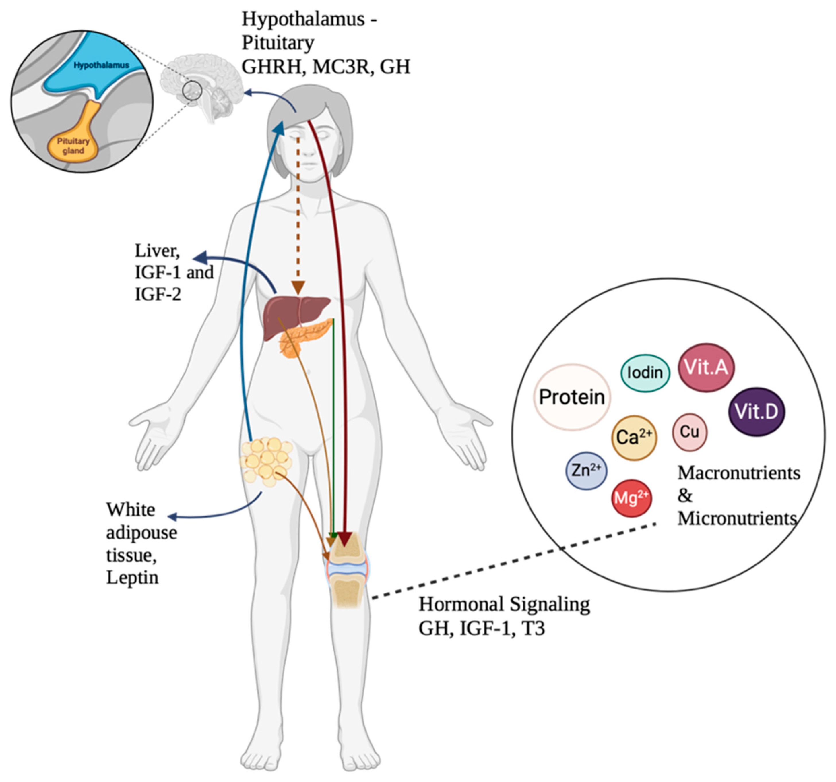 Nutrients 17 01493 g002
