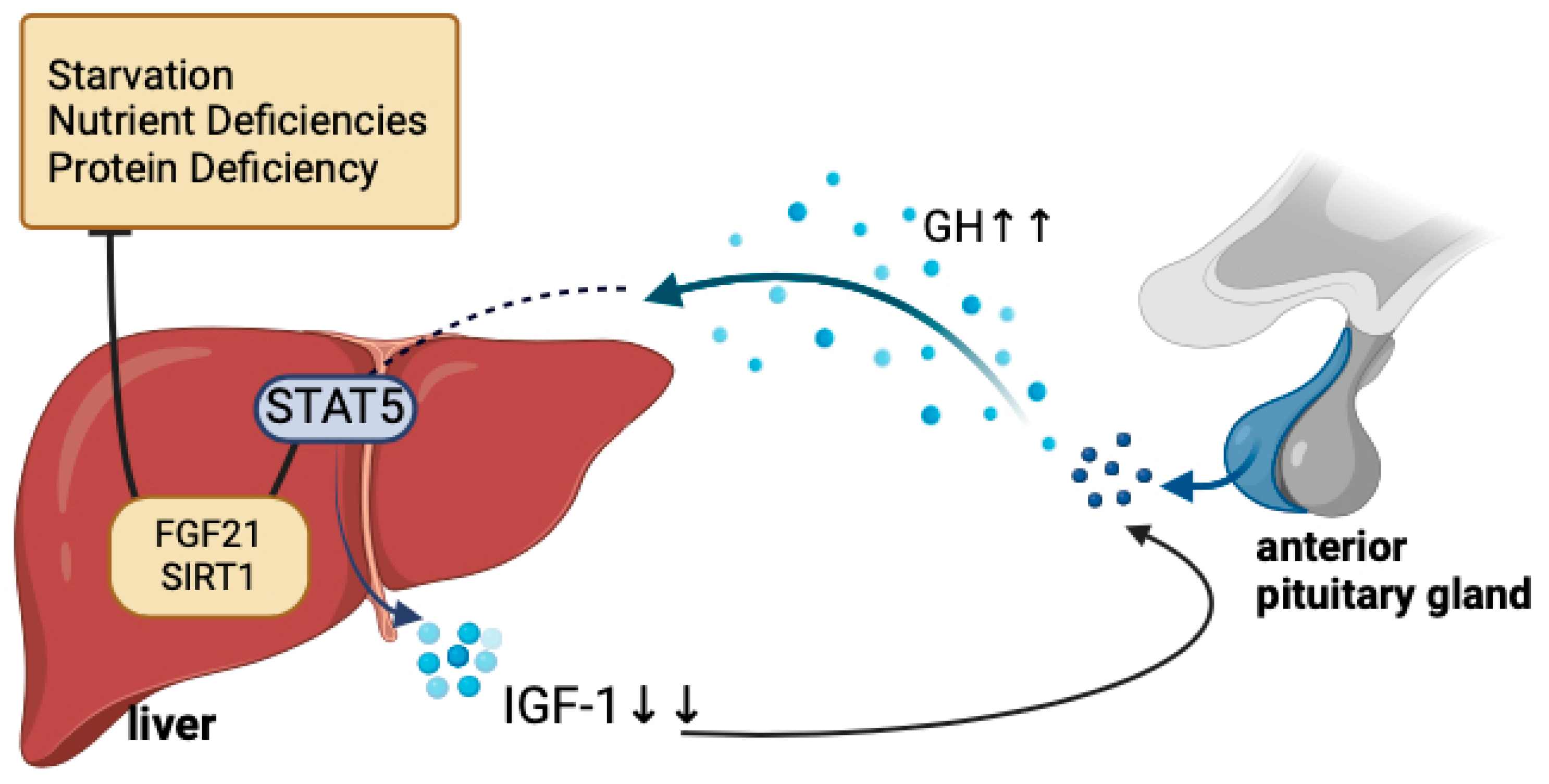 Nutrients 17 01493 g003