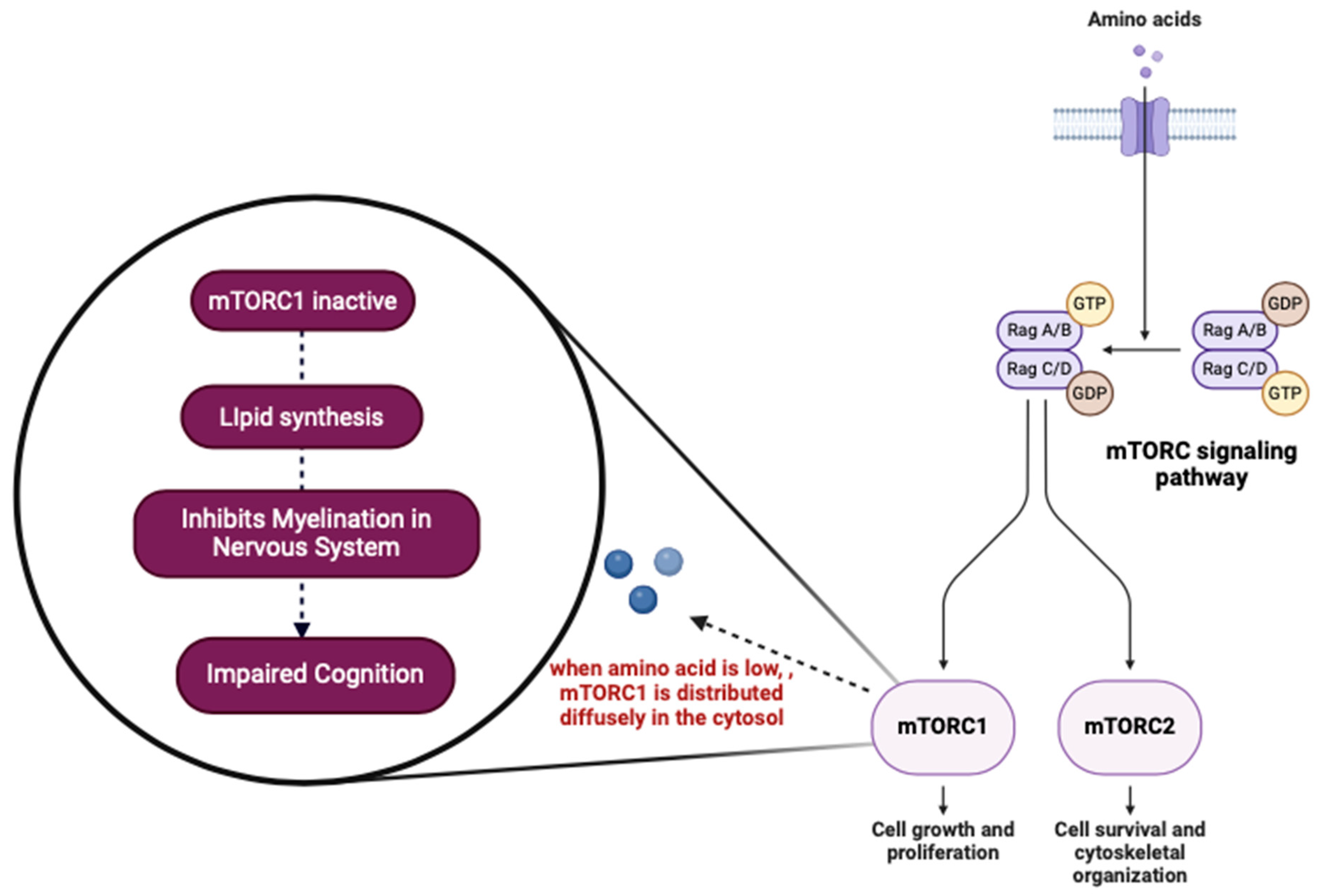 Nutrients 17 01493 g004
