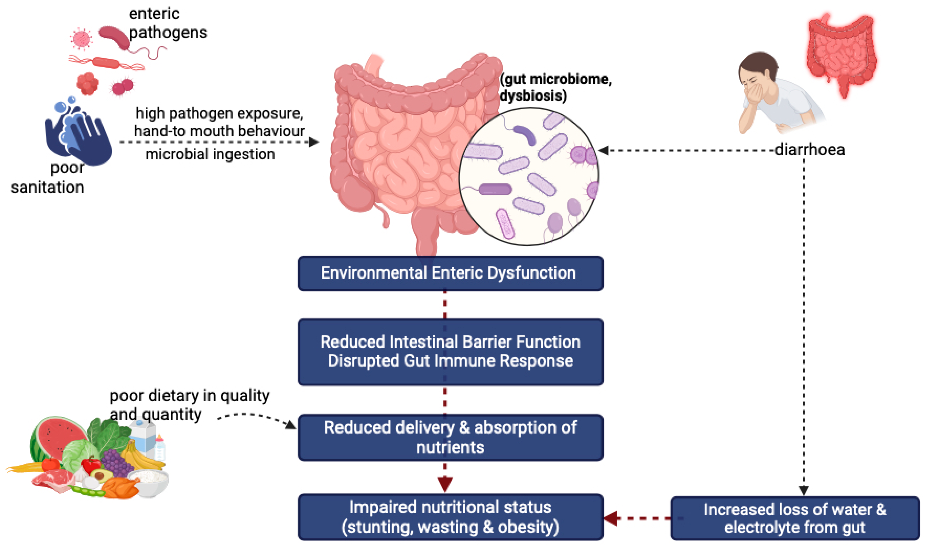 Nutrients 17 01493 g005