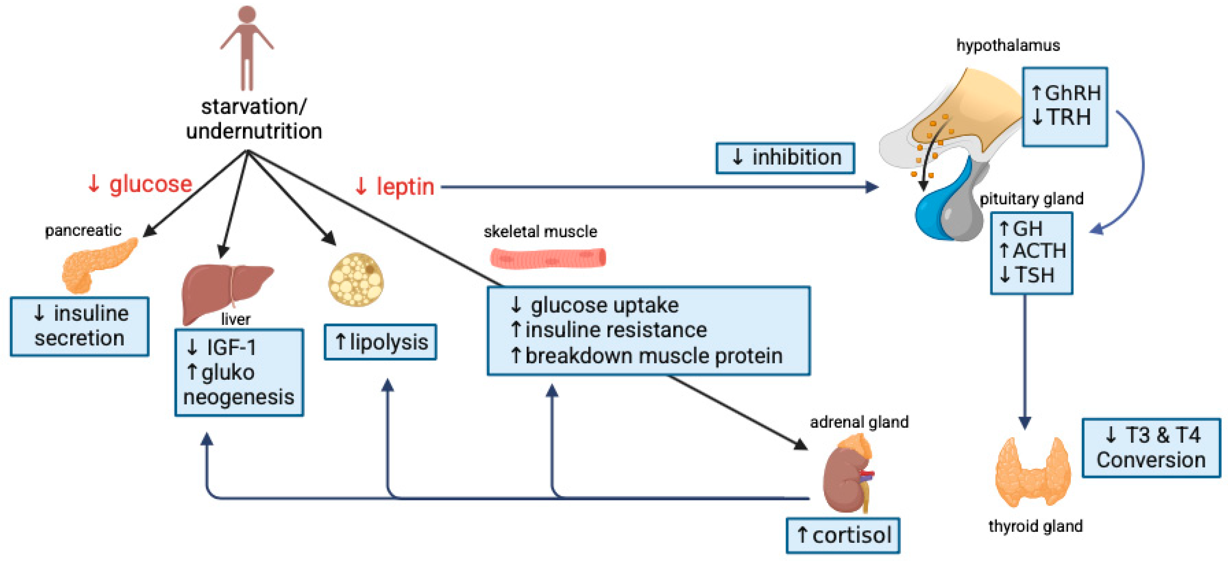 Nutrients 17 01493 g007