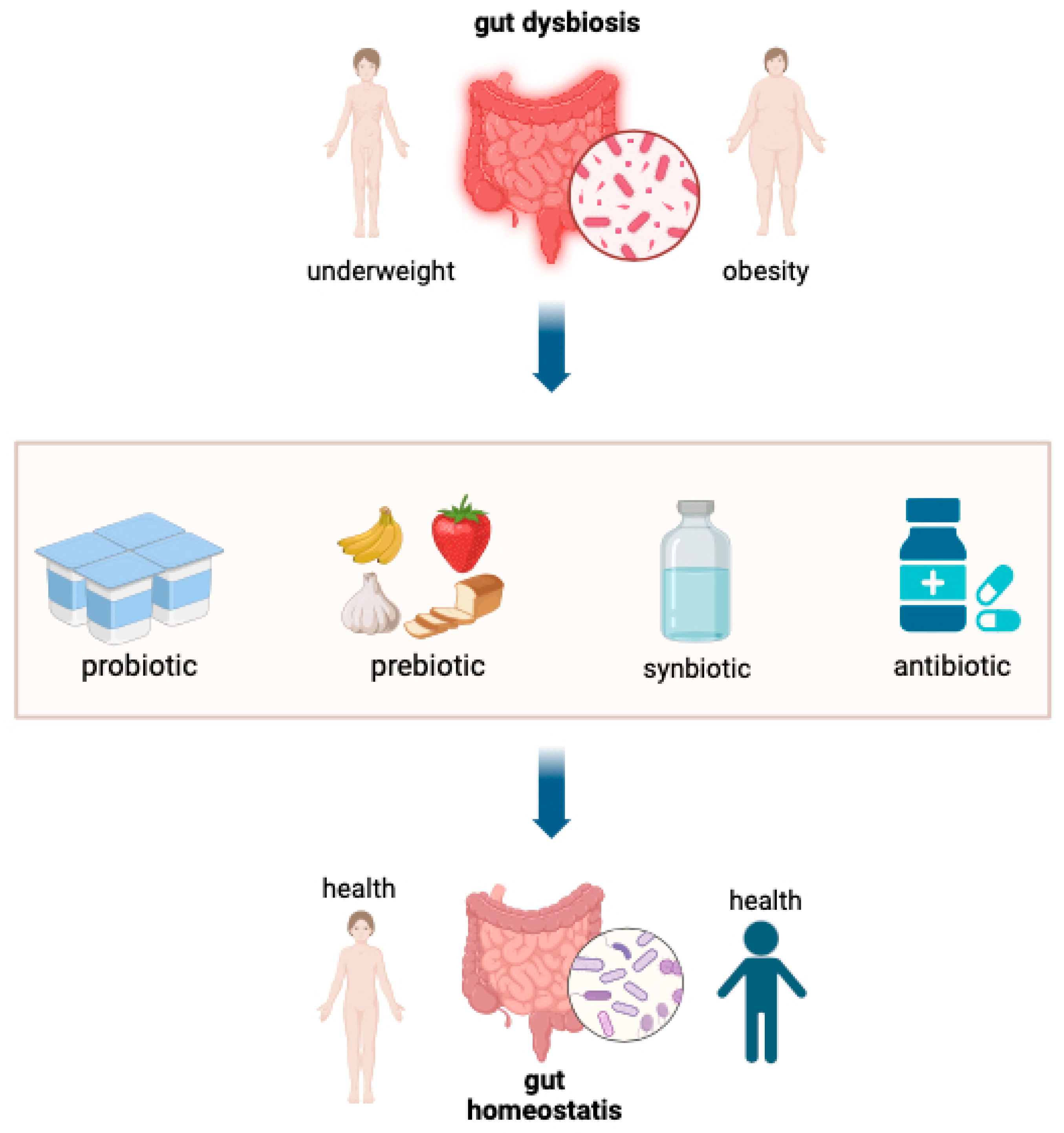 Nutrients 17 01493 g009