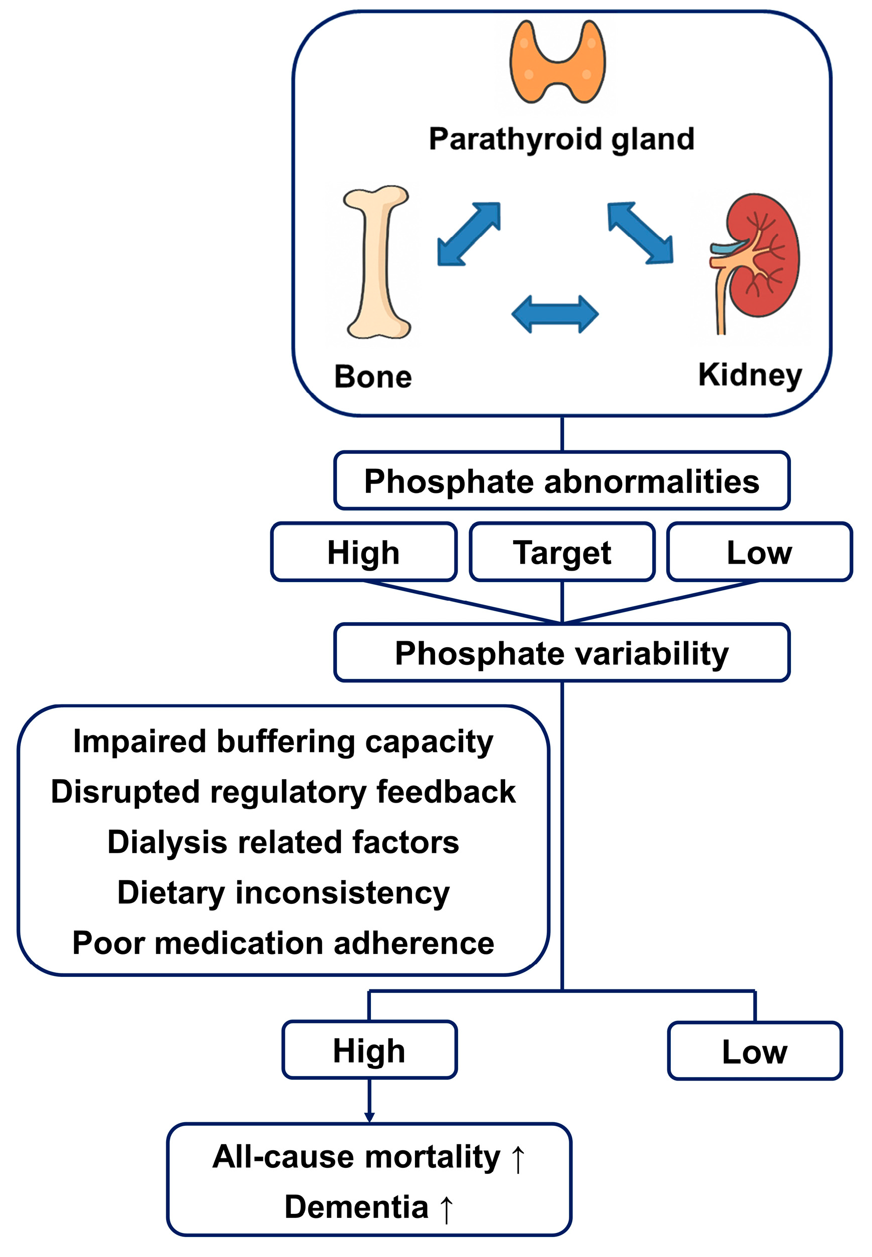 Nutrients 17 01528 g002