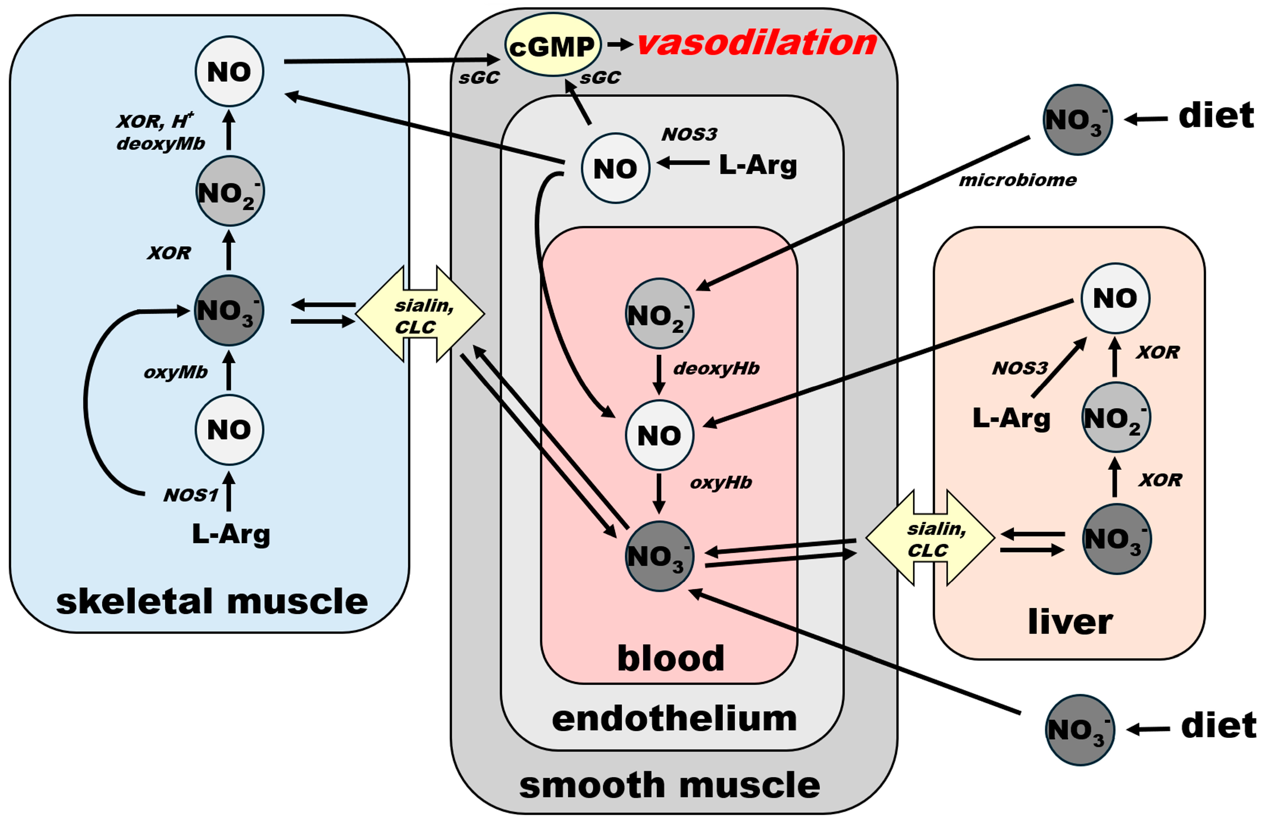 Nutrients 17 01544 g004