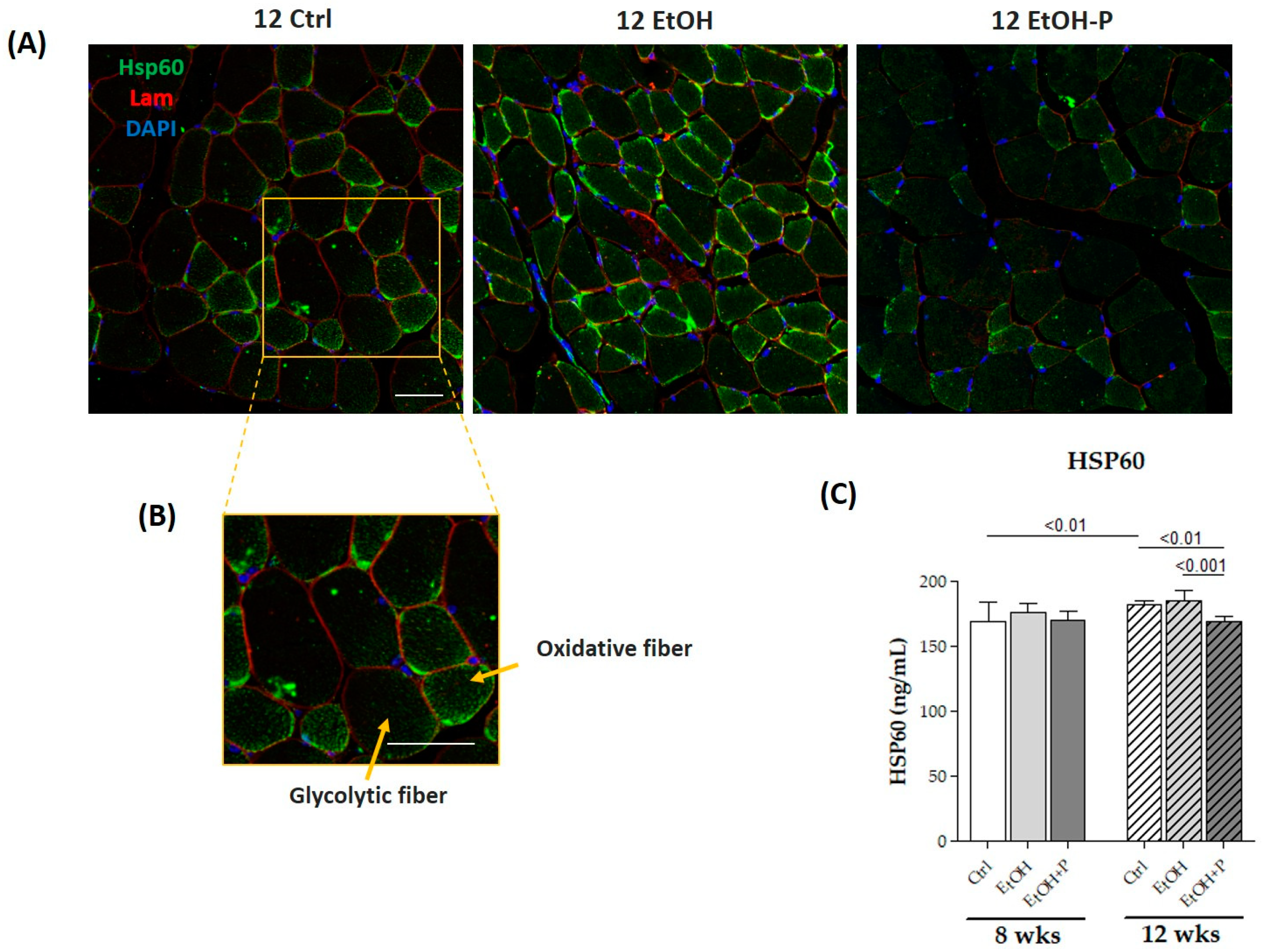Nutrients 17 01550 g006