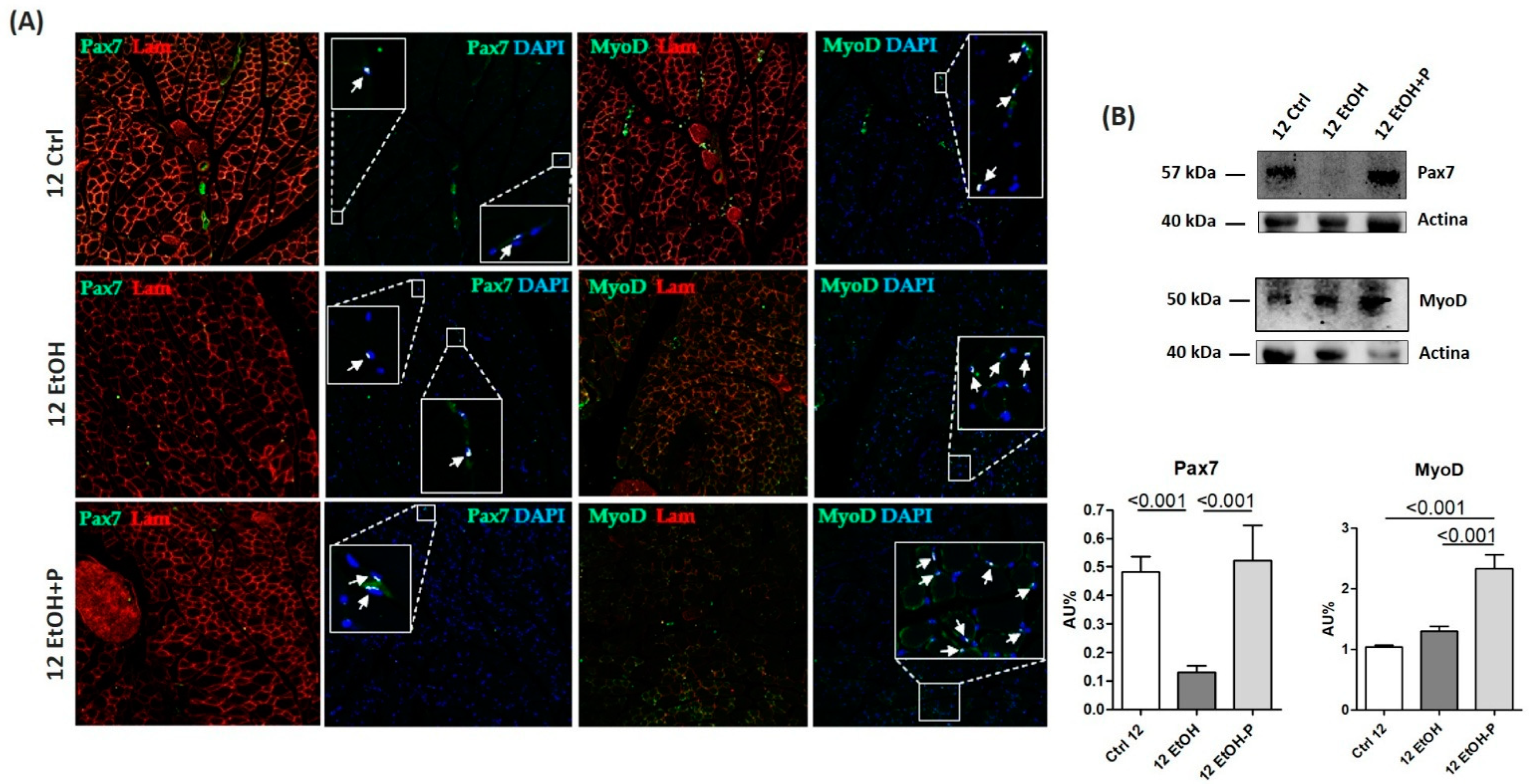 Nutrients 17 01550 g007