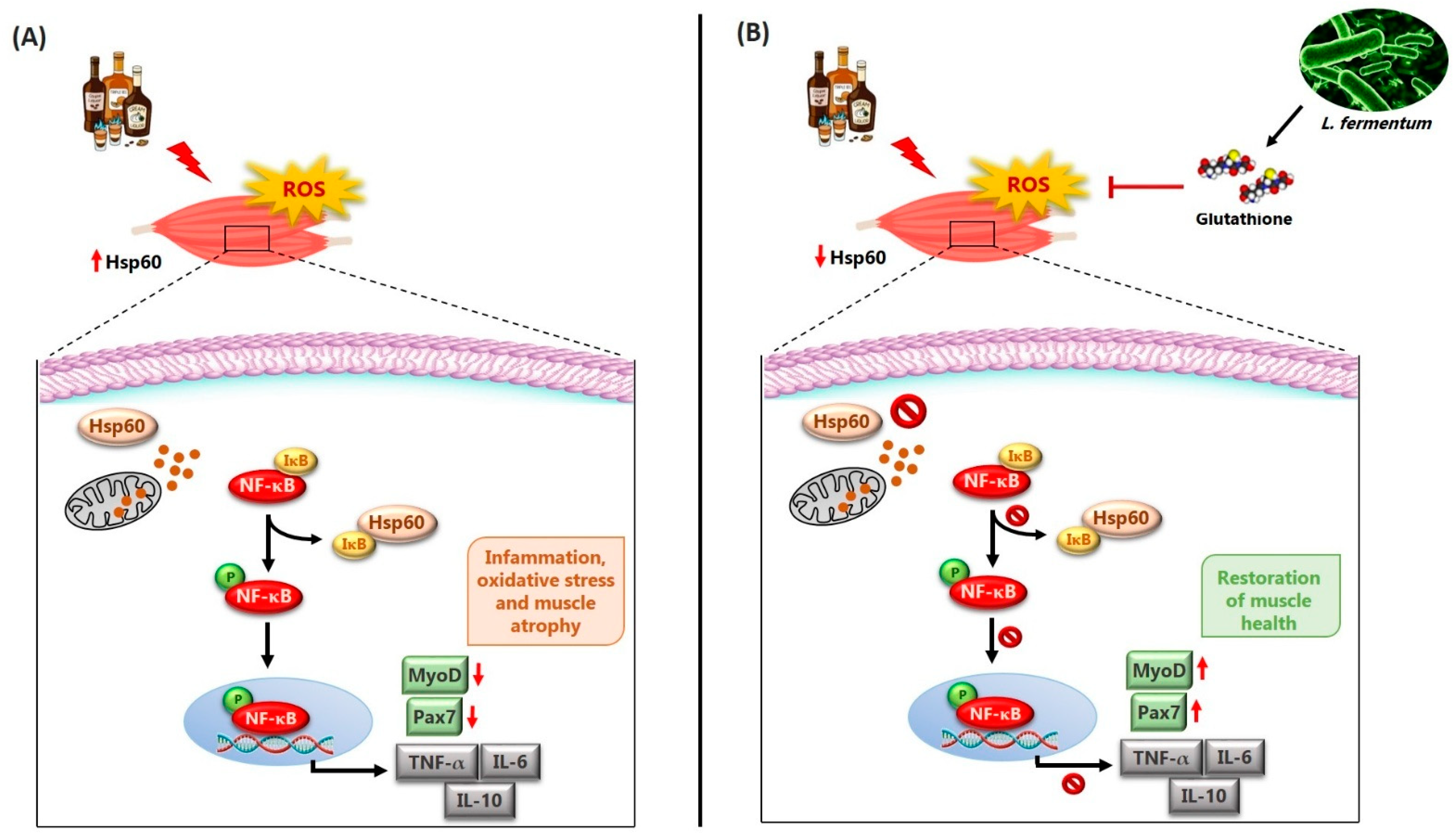 Nutrients 17 01550 g008