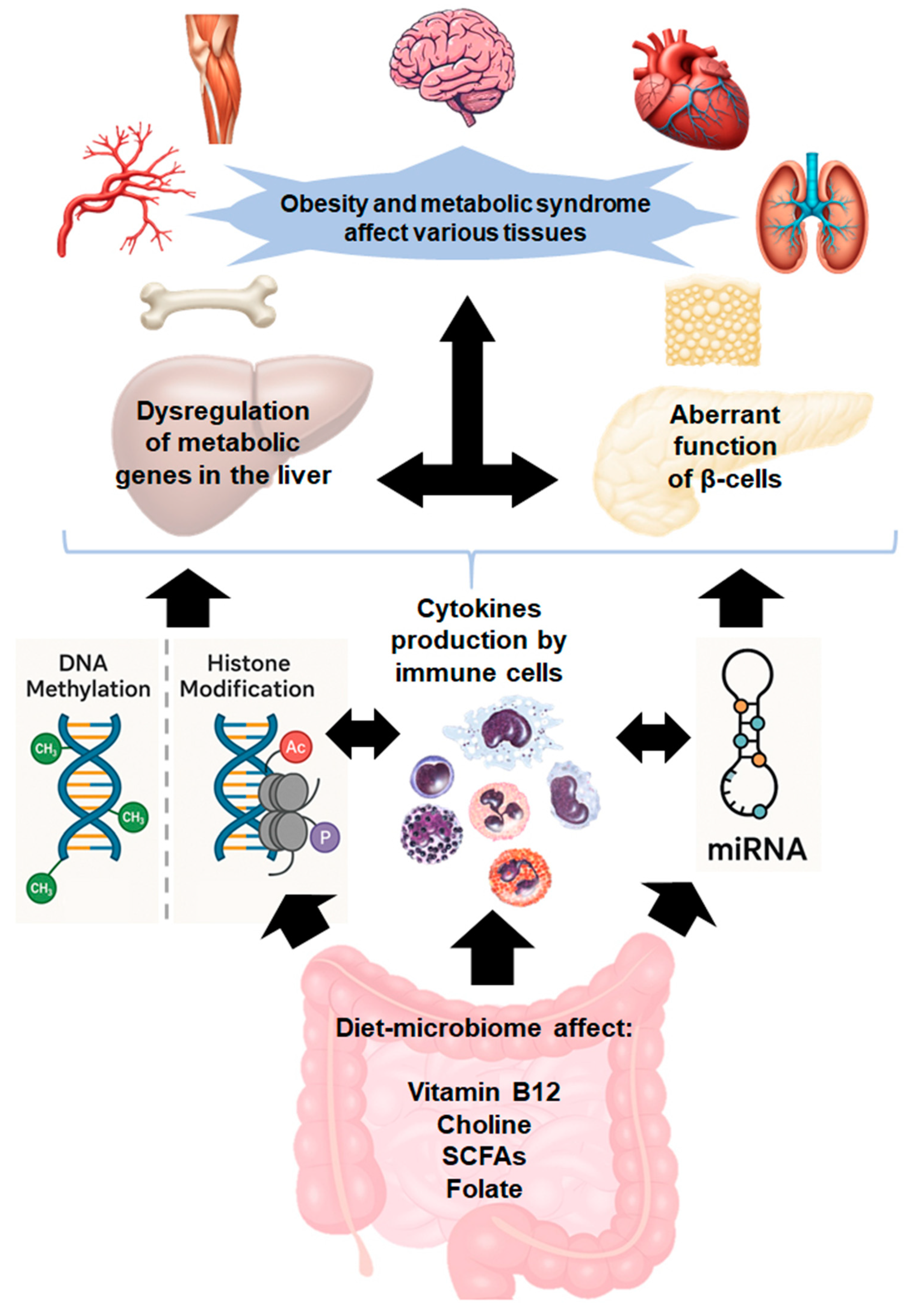 Nutrients 17 01564 g001