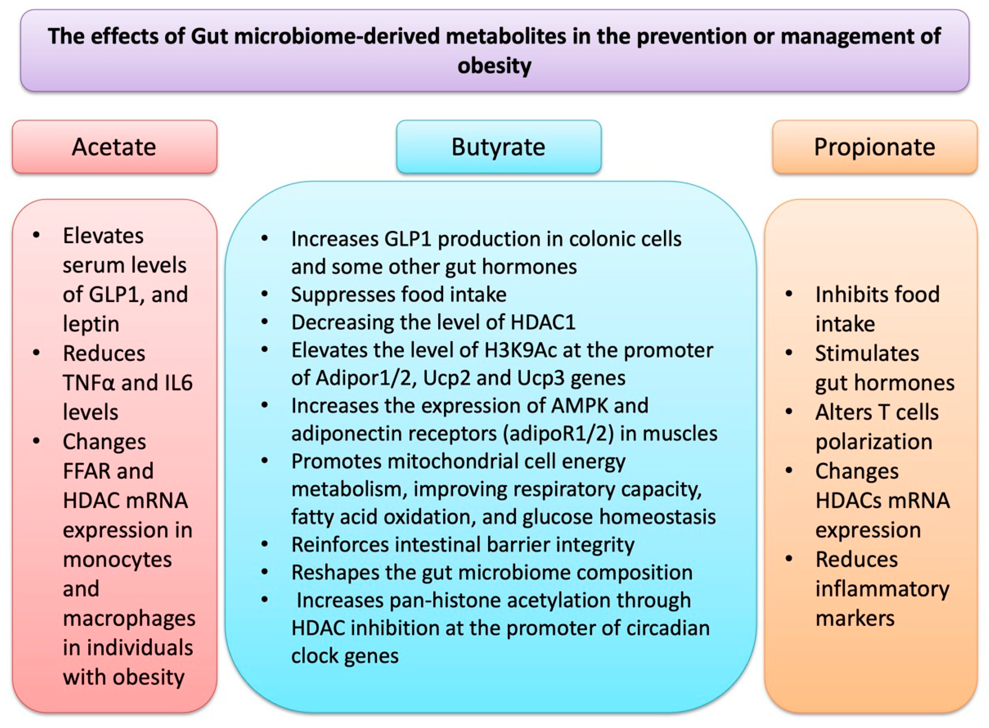 Nutrients 17 01564 g002