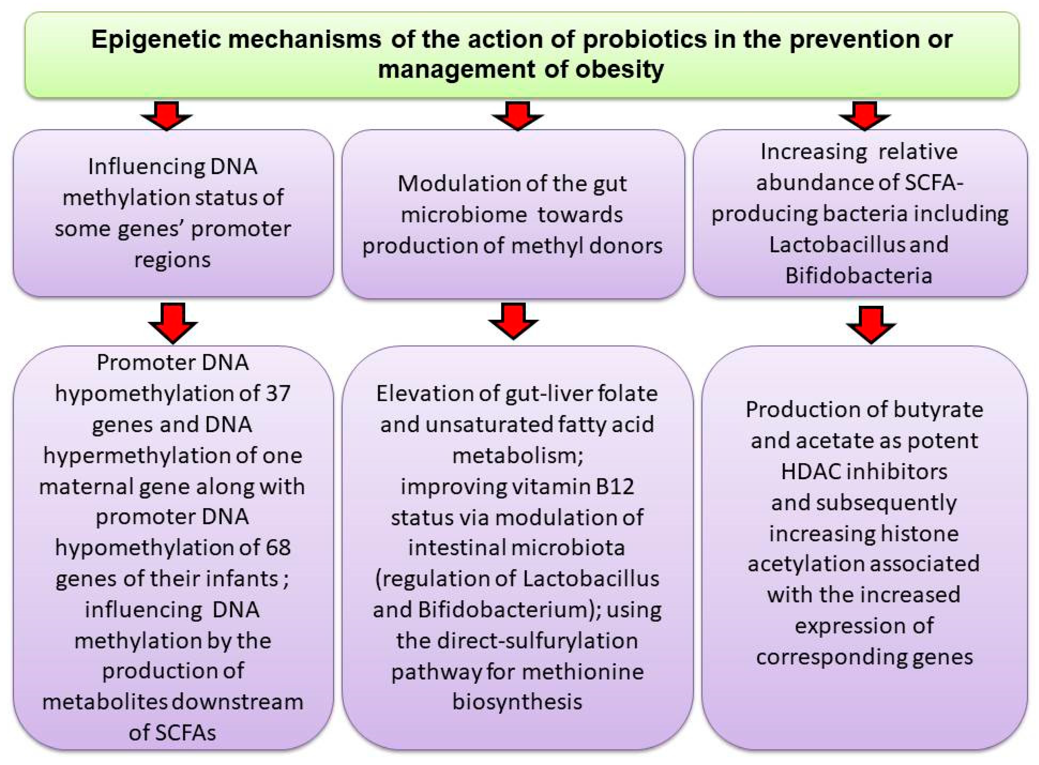 Nutrients 17 01564 g003