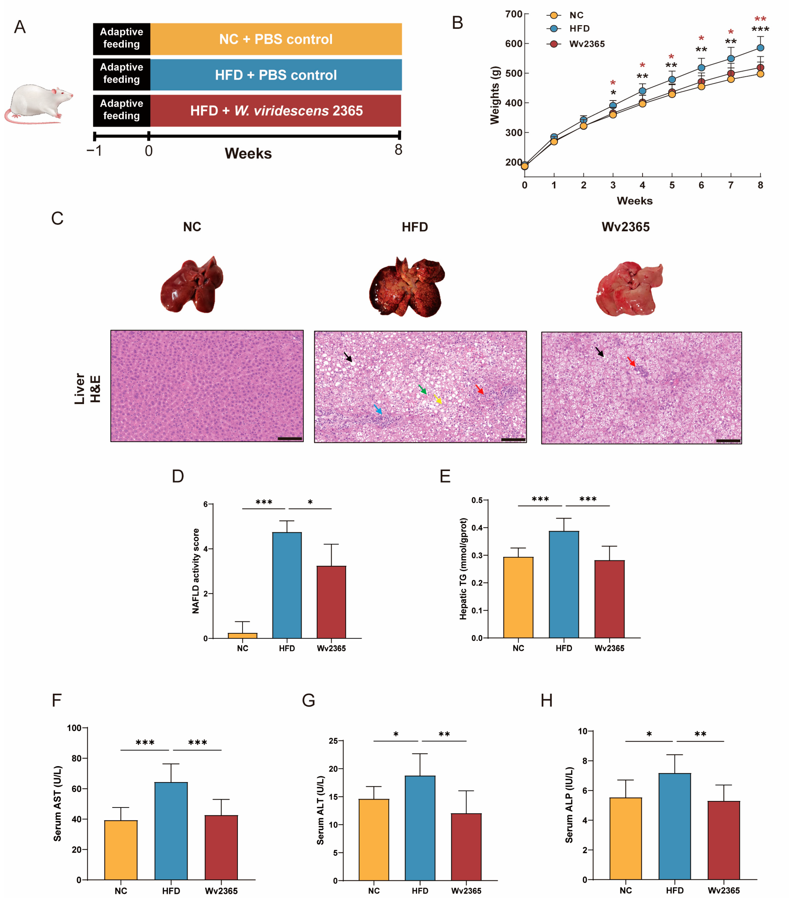 Nutrients 17 01585 g001