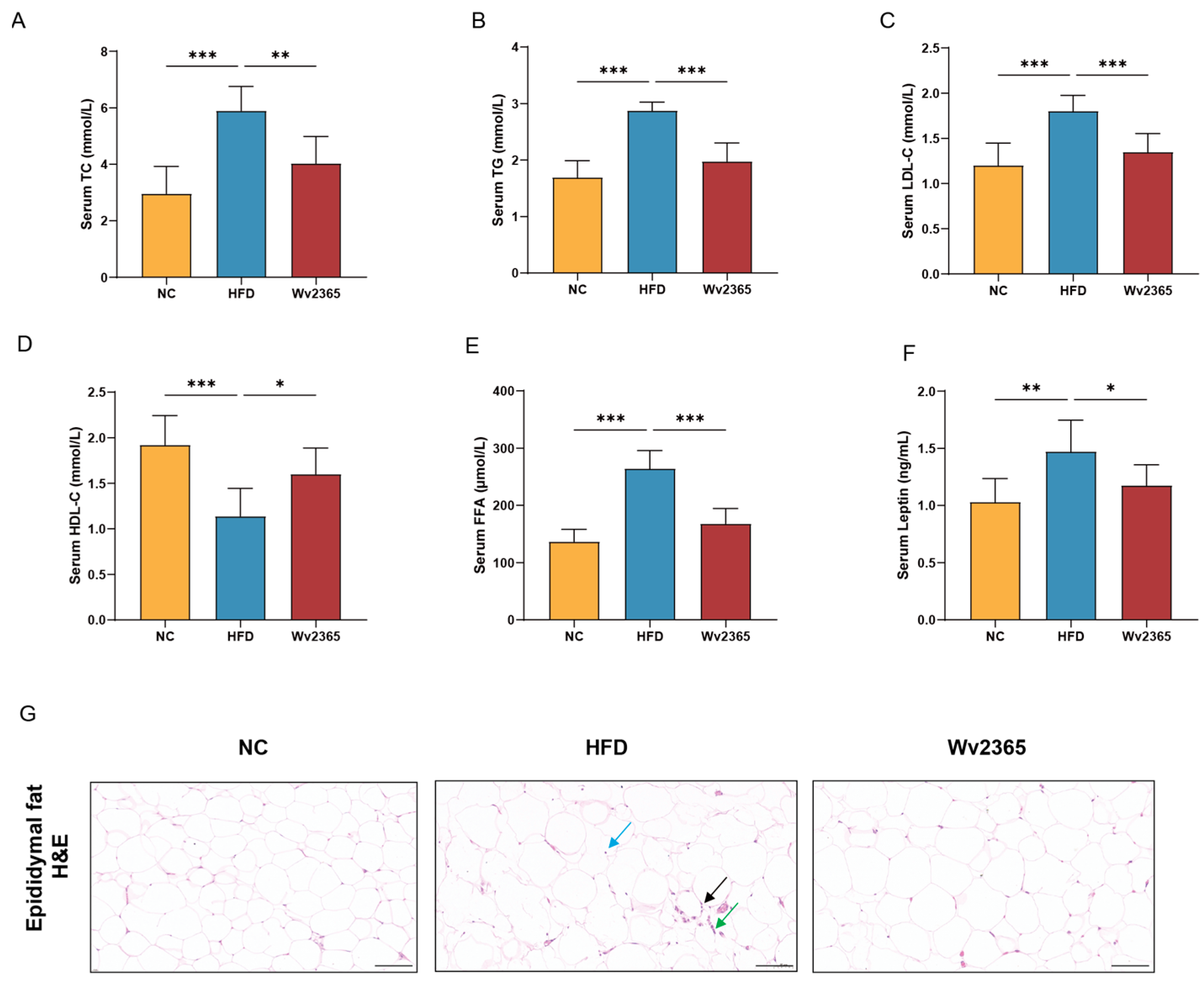 Nutrients 17 01585 g002