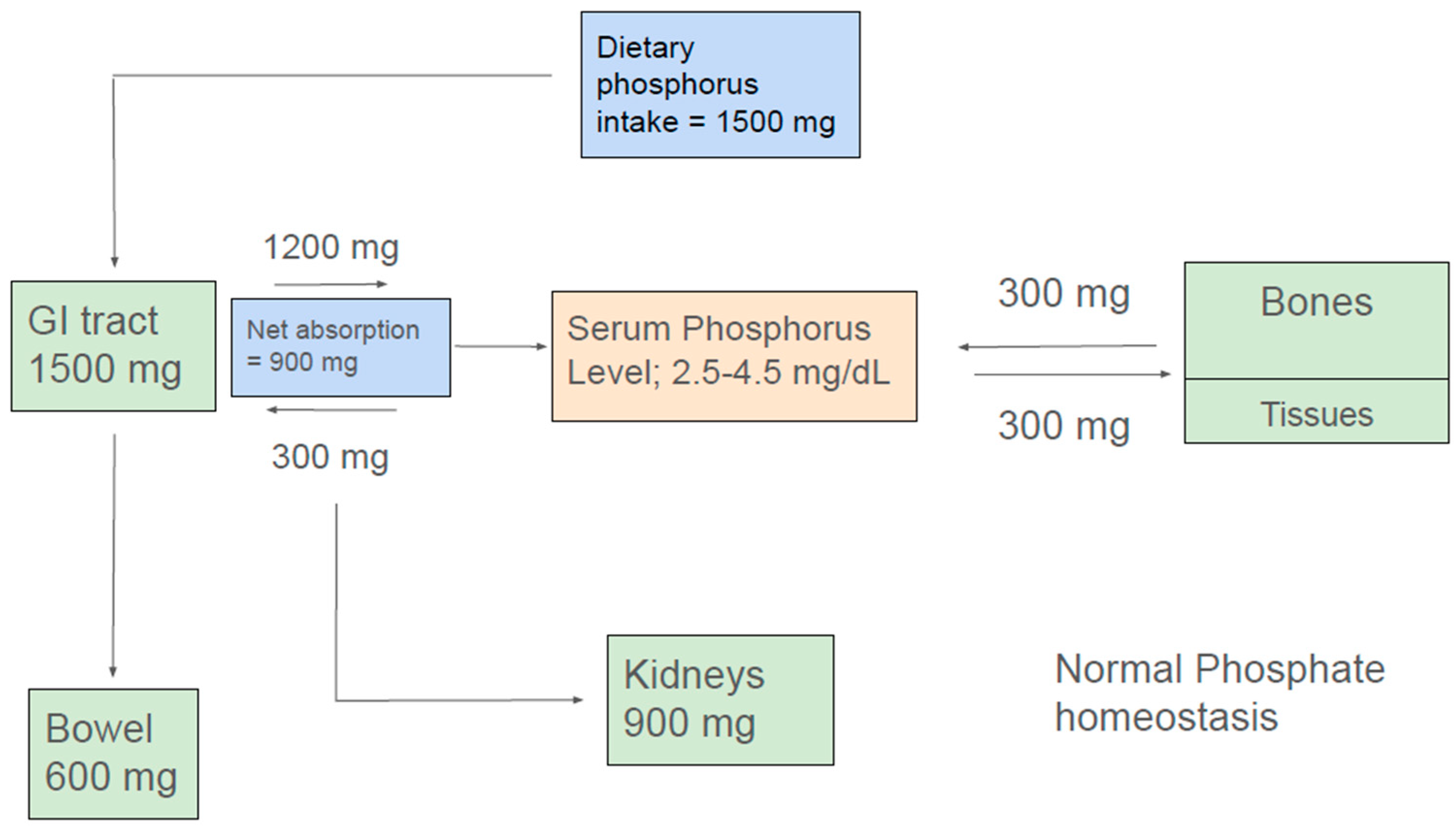 Hyperphosphatemia in Kidney Failure: Pathophysiology, Challenges, and ...