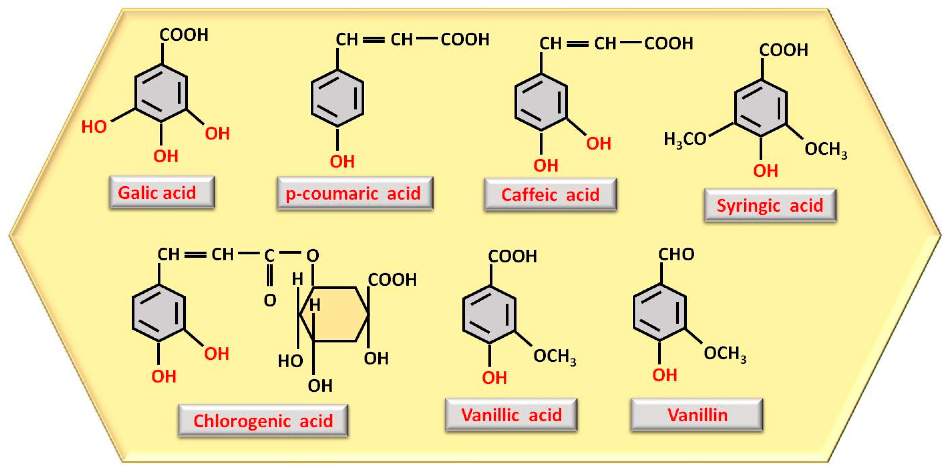 Nutrients 17 01595 g001