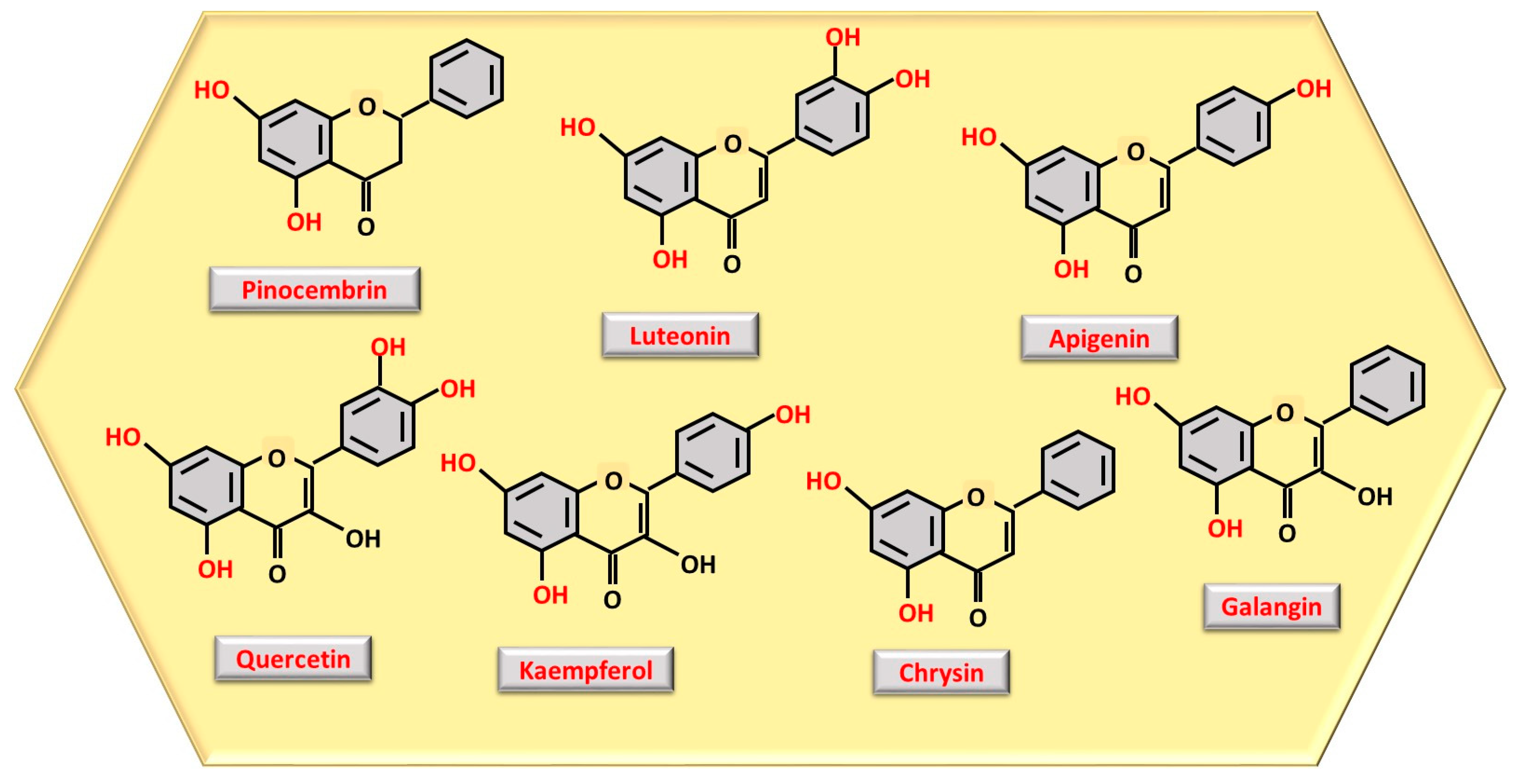Nutrients 17 01595 g002