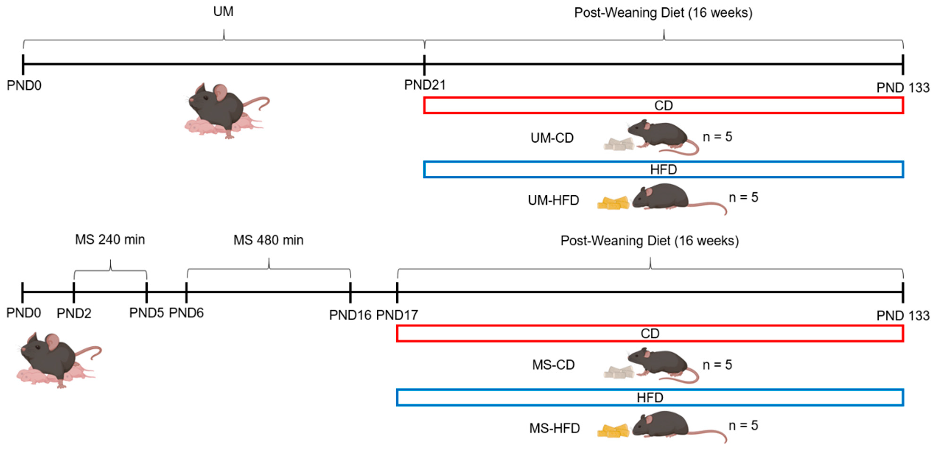Nutrients 17 01619 g001