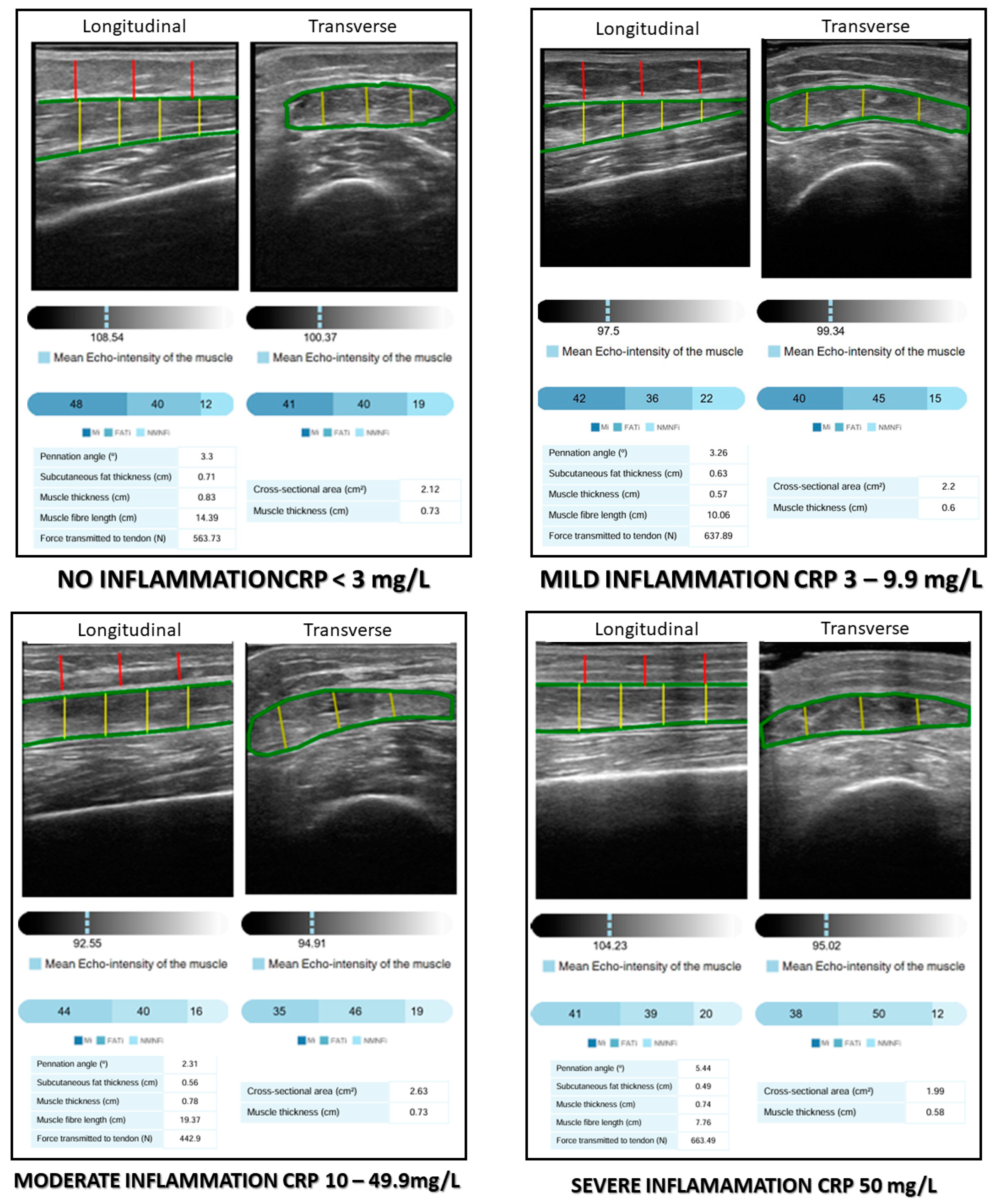 Nutrients 17 01620 g001