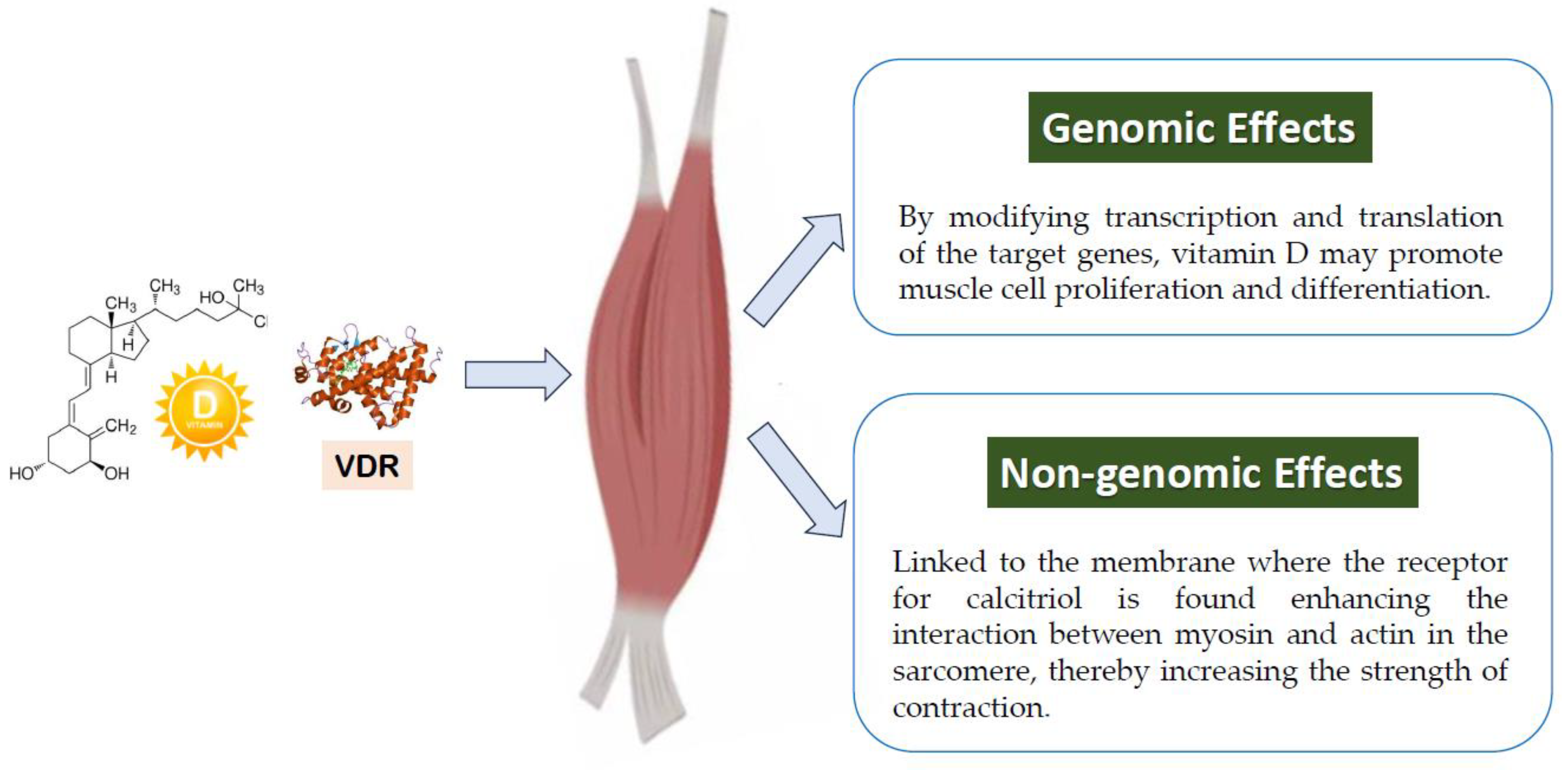 Nutrients 17 01655 g001