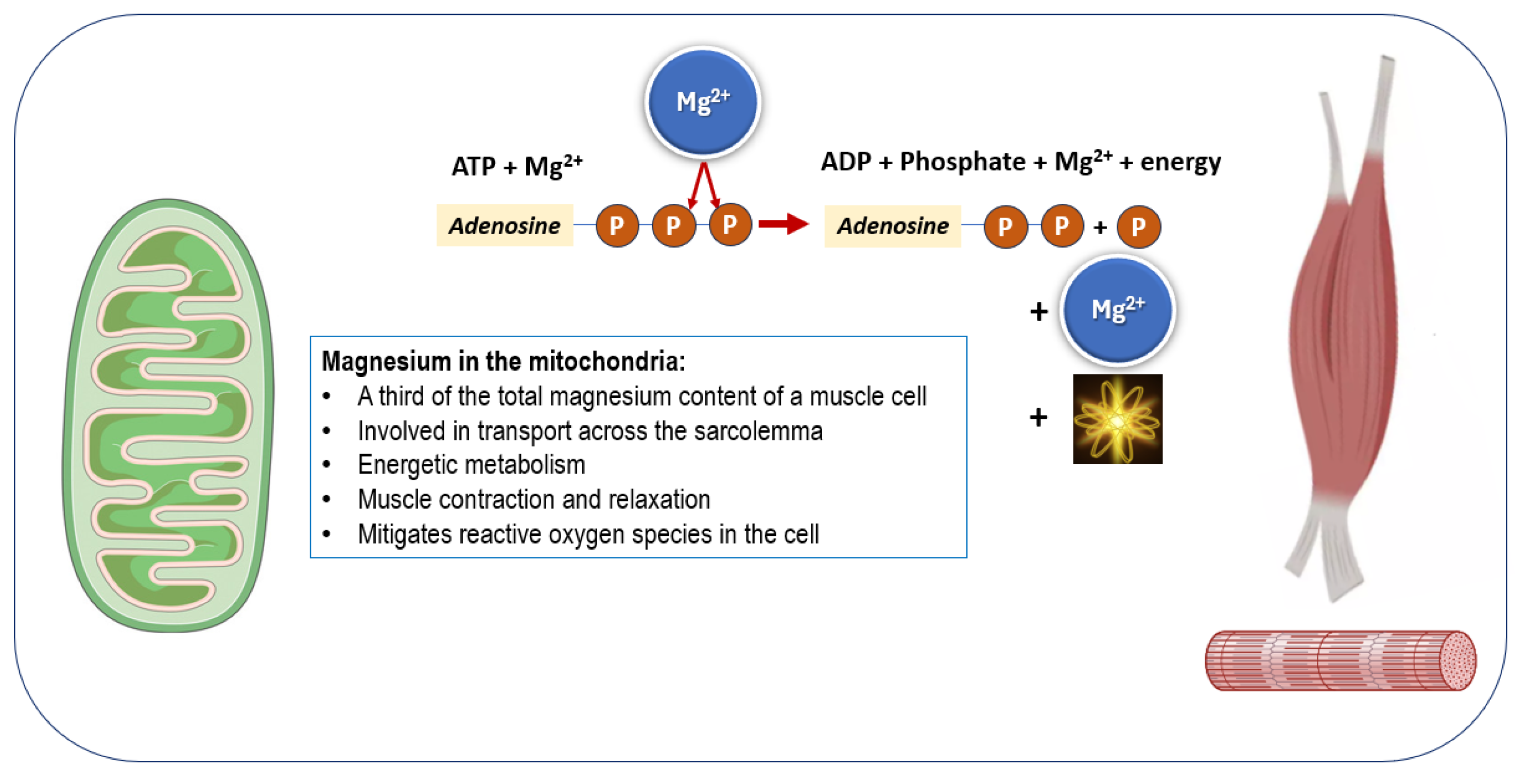 Nutrients 17 01655 g002