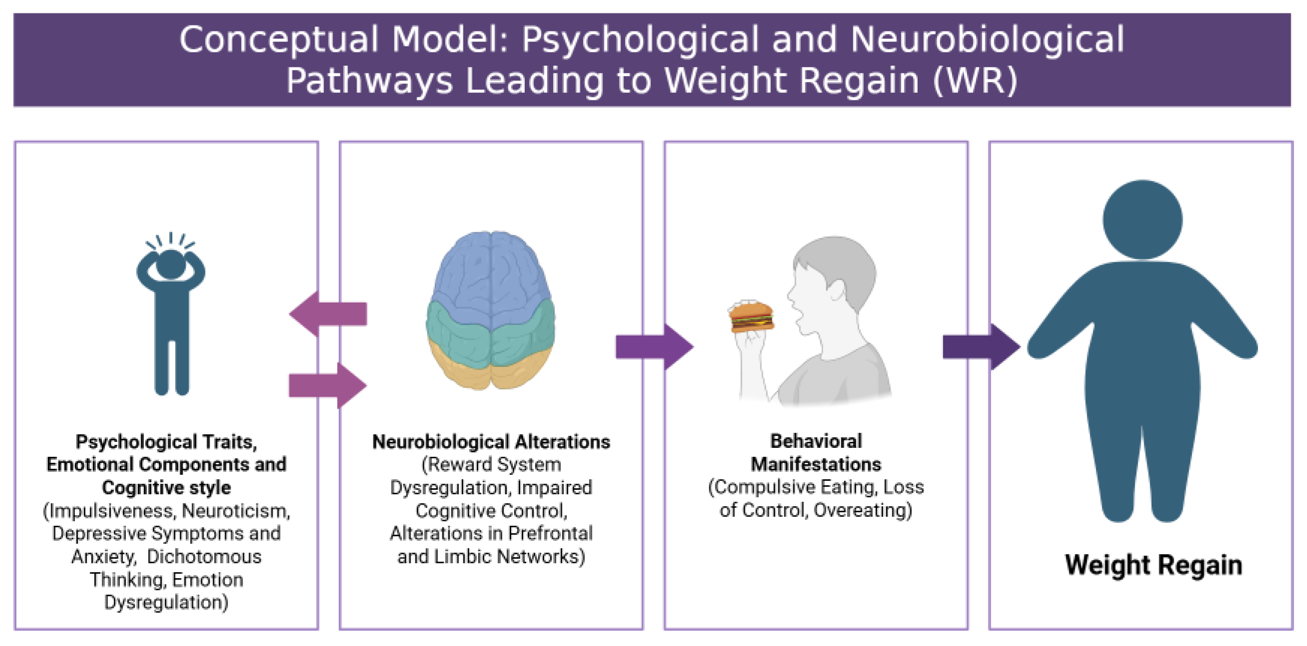 Nutrients 17 01662 g001