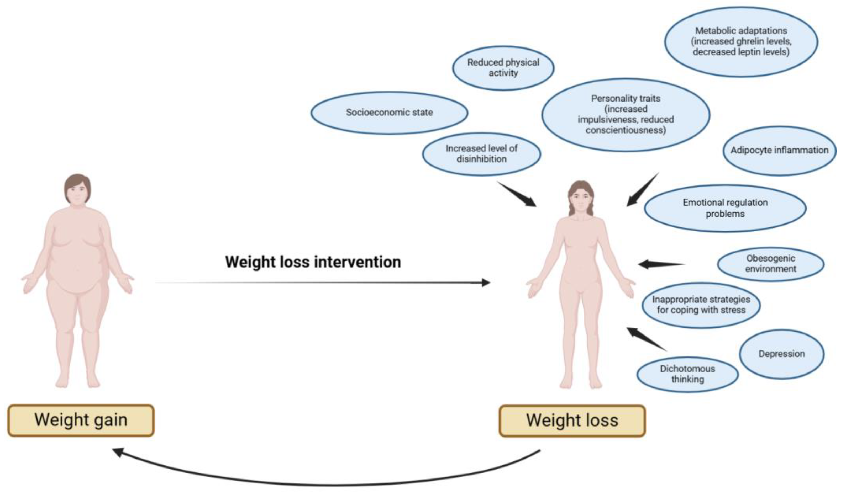 Nutrients 17 01662 g003