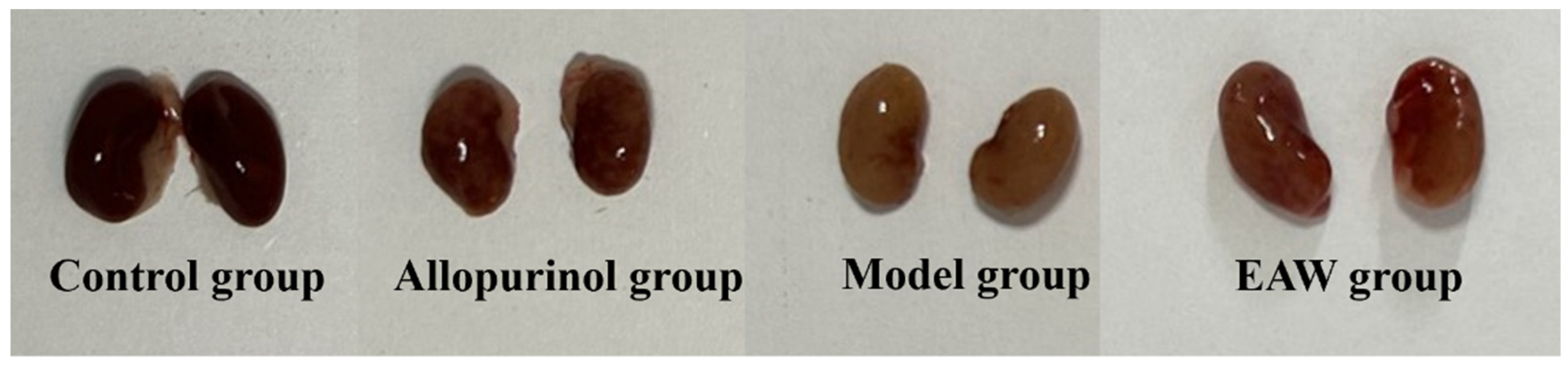 Nutrients 17 01673 g005
