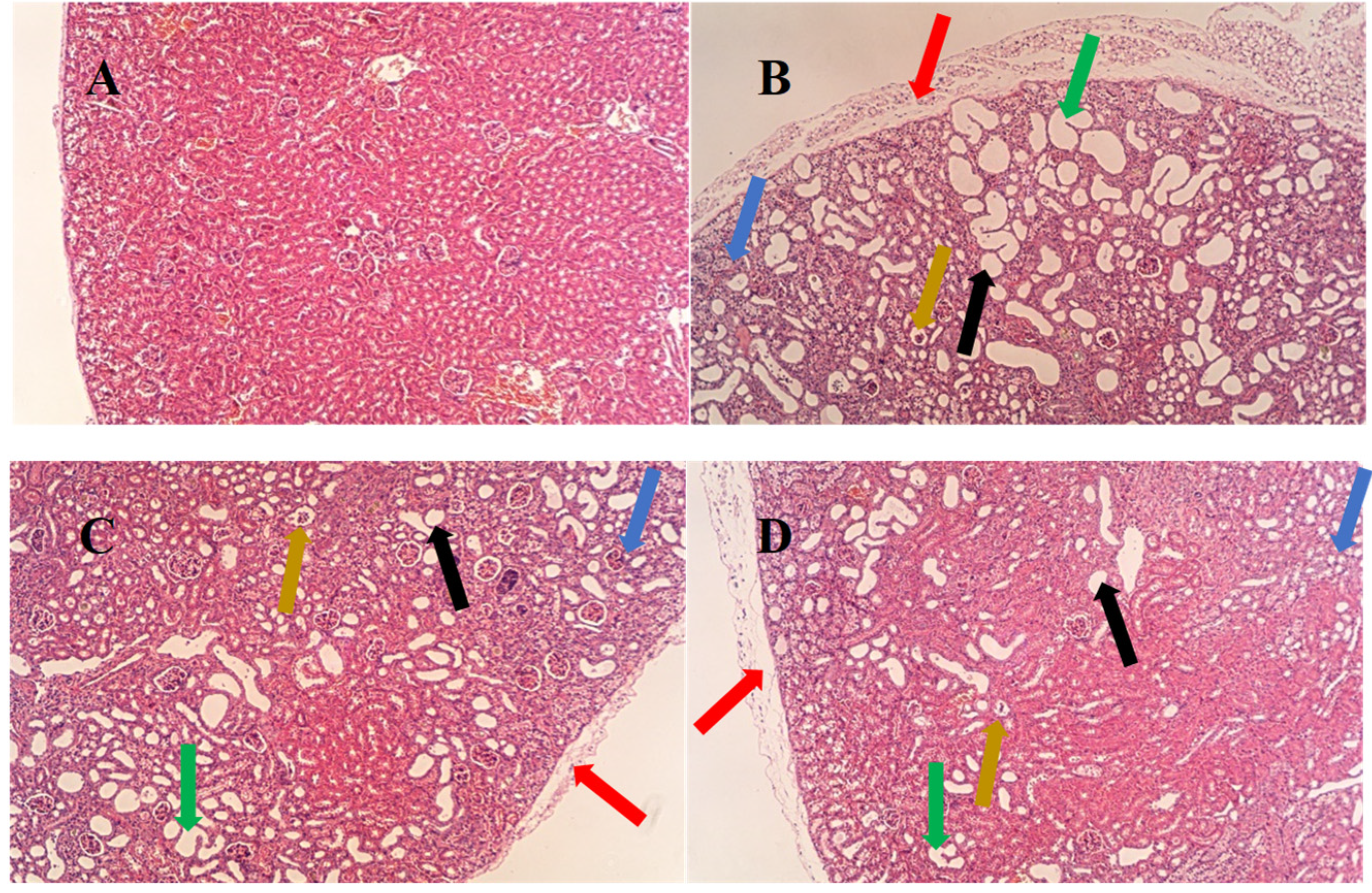 Nutrients 17 01673 g006