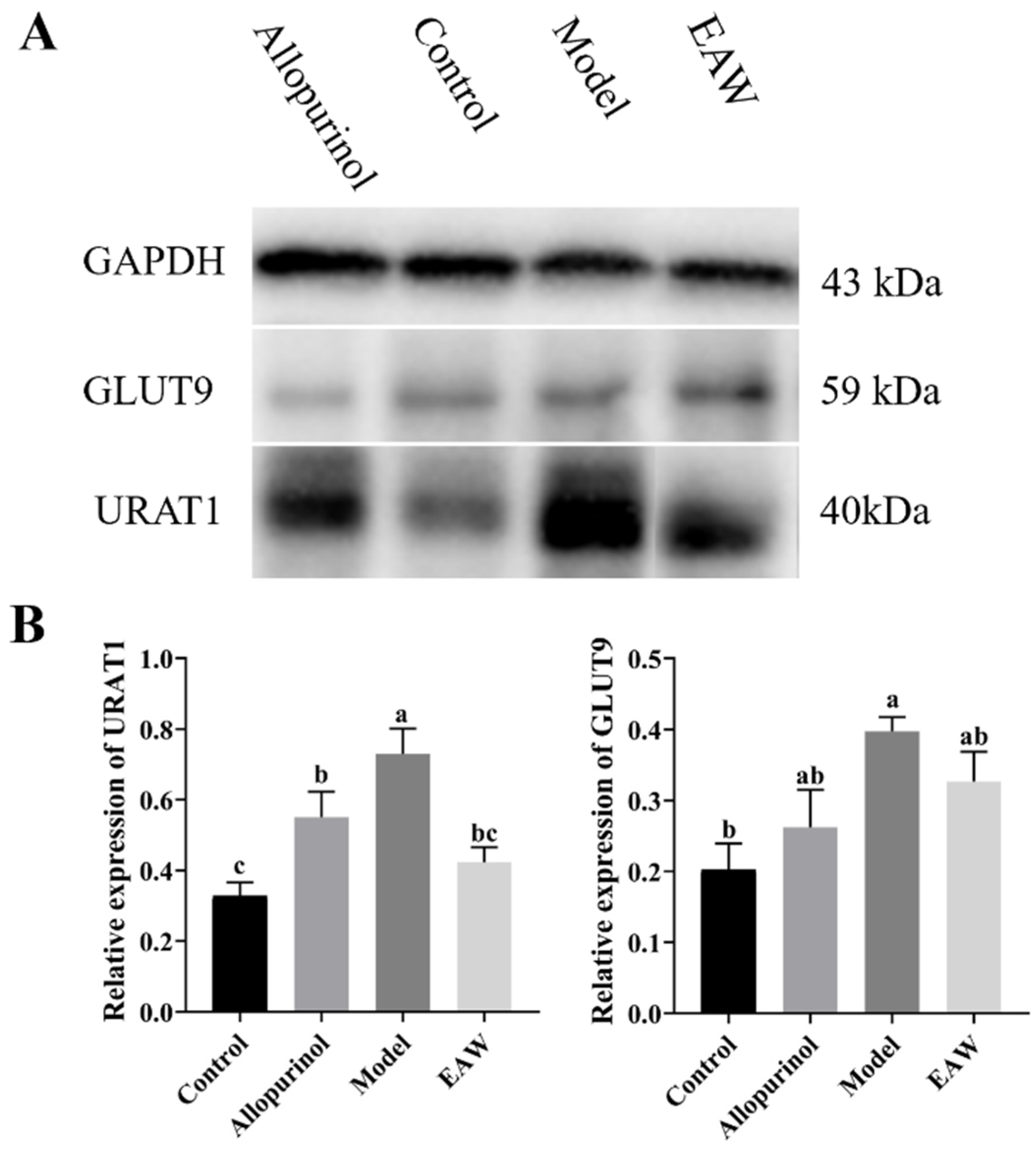 Nutrients 17 01673 g008