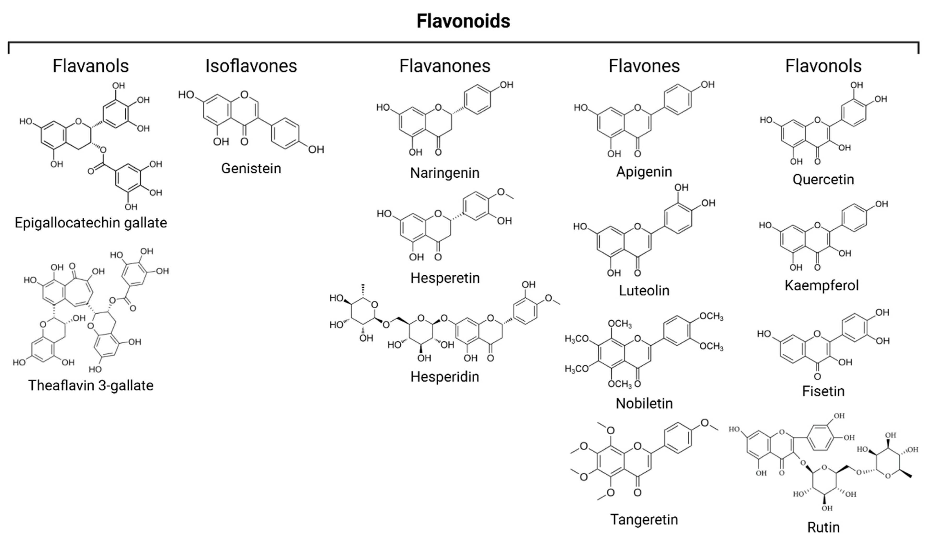 Nutrients 17 01716 g003