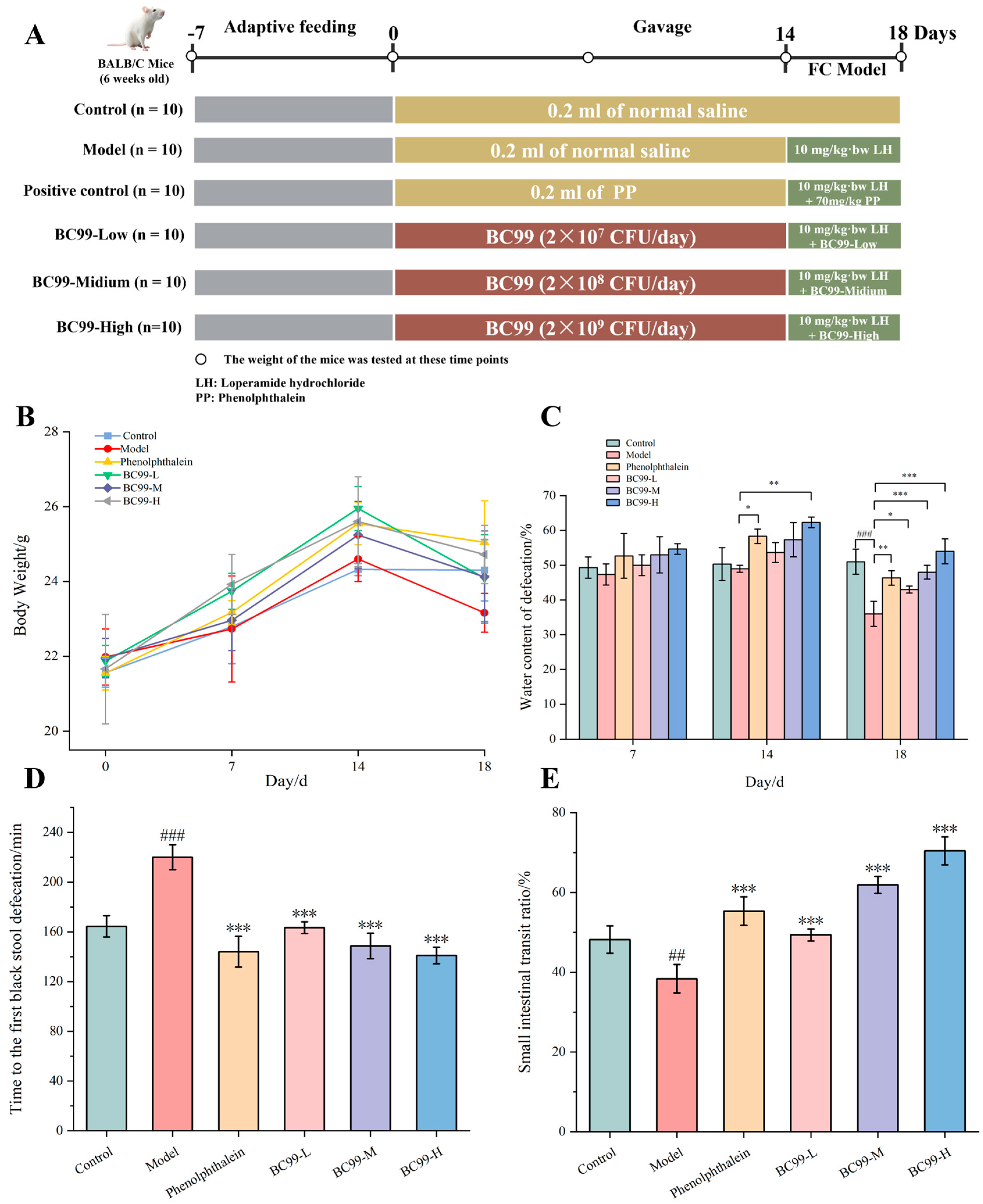Nutrients 17 01729 g001 Nutrients 17 01729 g001