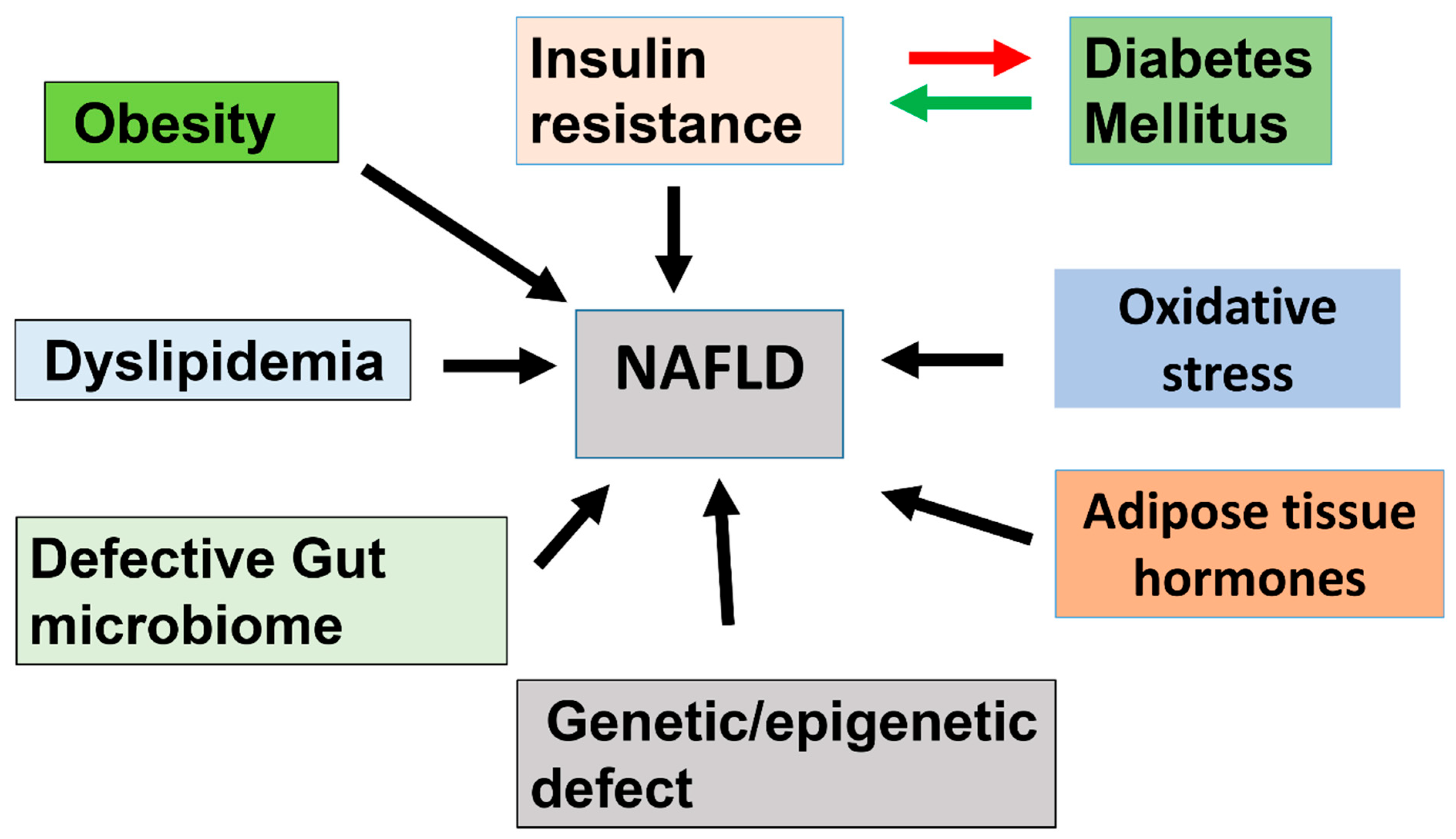 Nutrients 17 01797 g003 Nutrients 17 01797 g003