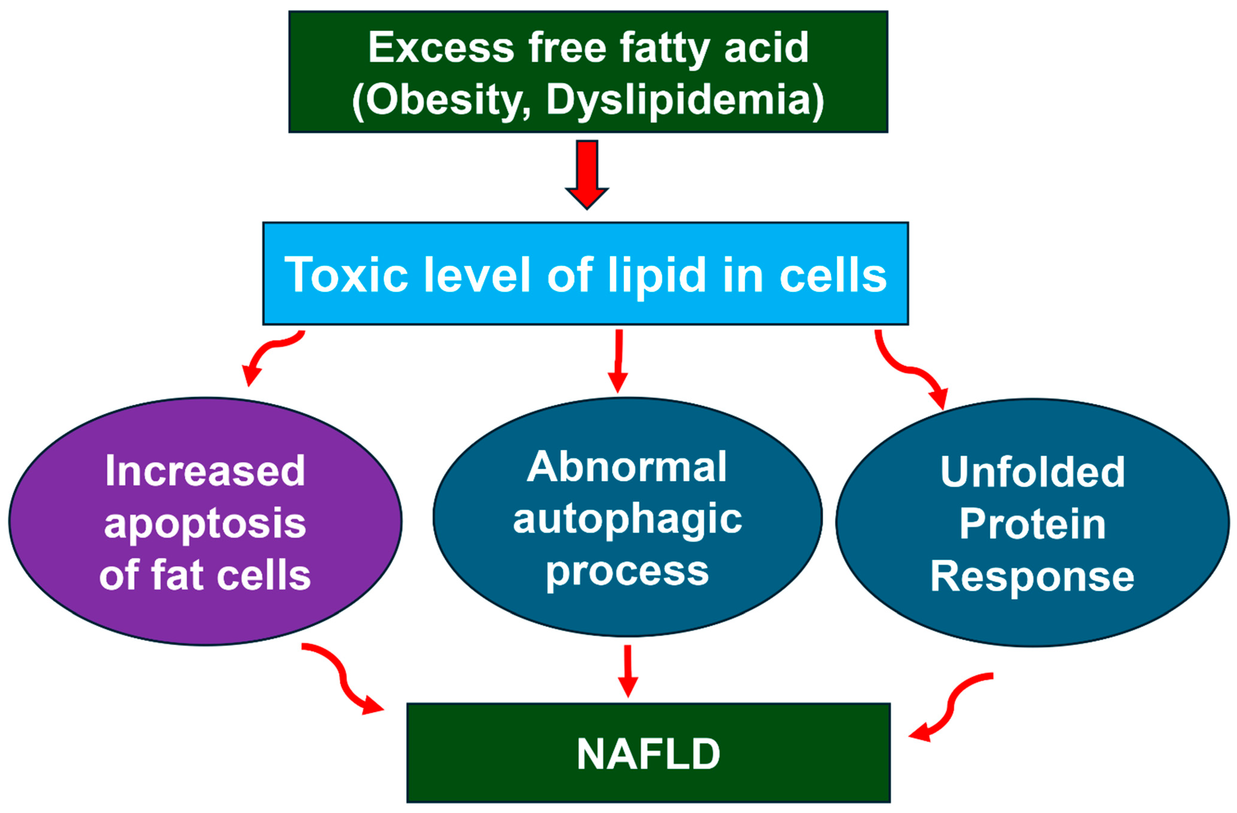 Nutrients 17 01797 g004 Nutrients 17 01797 g004