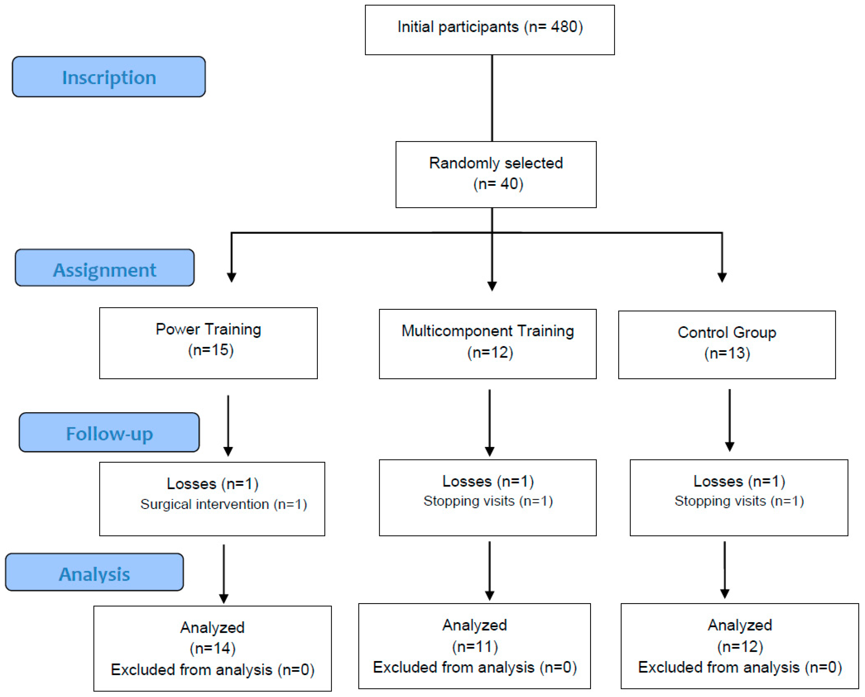 Nutrients 17 01822 g001
