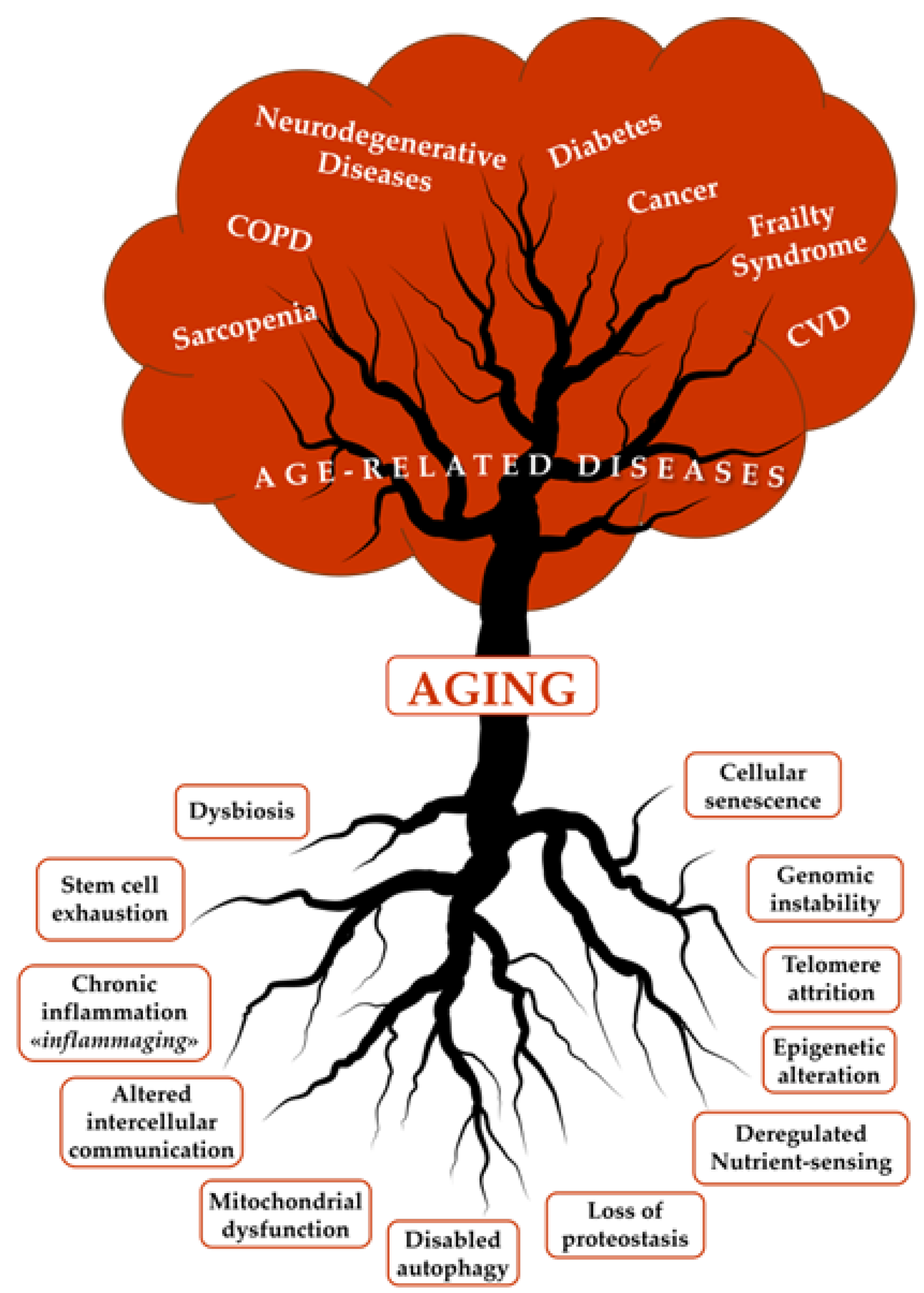 Nutrients 17 01837 g001 Nutrients 17 01837 g001