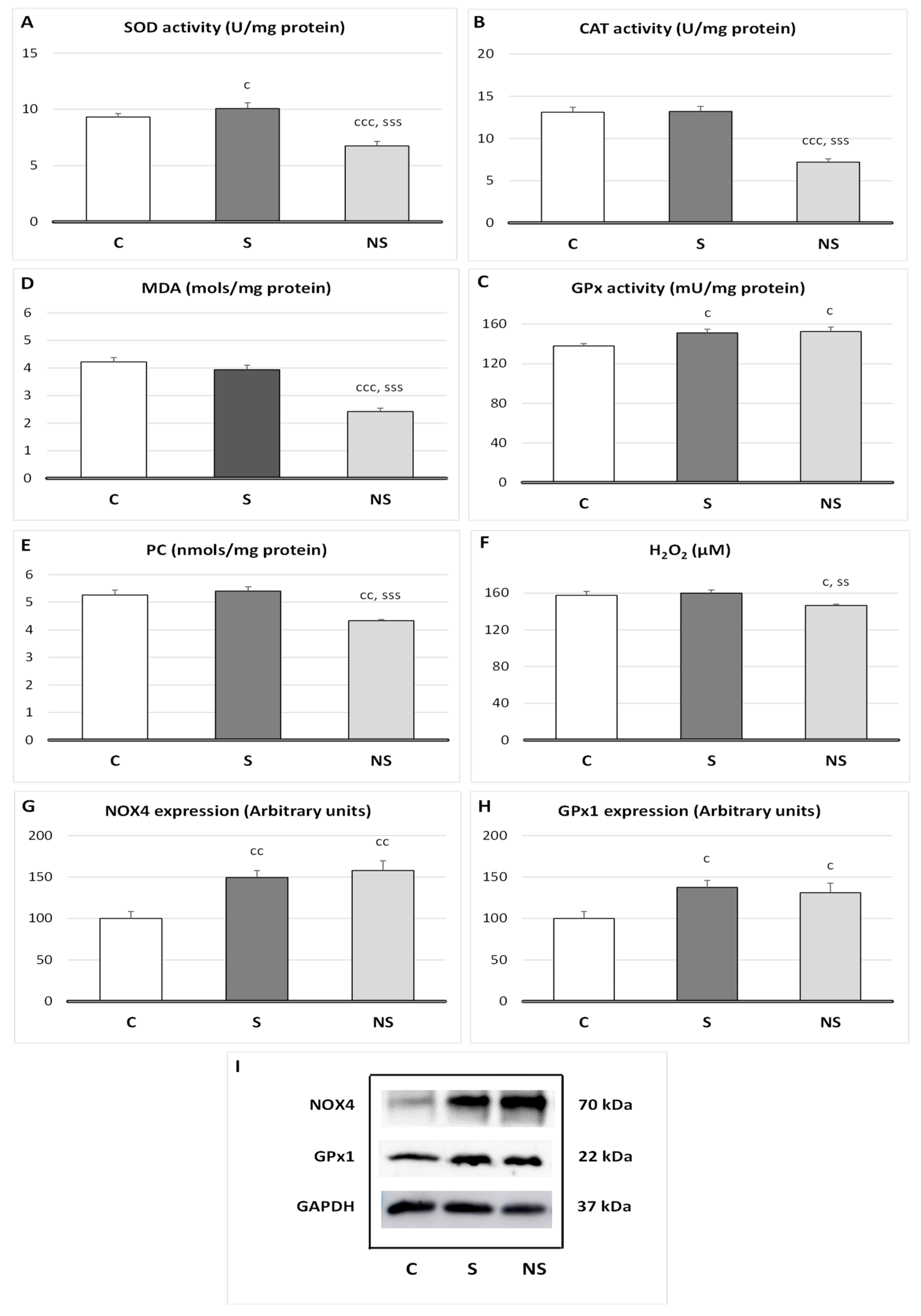 Nutrients 17 01841 g002