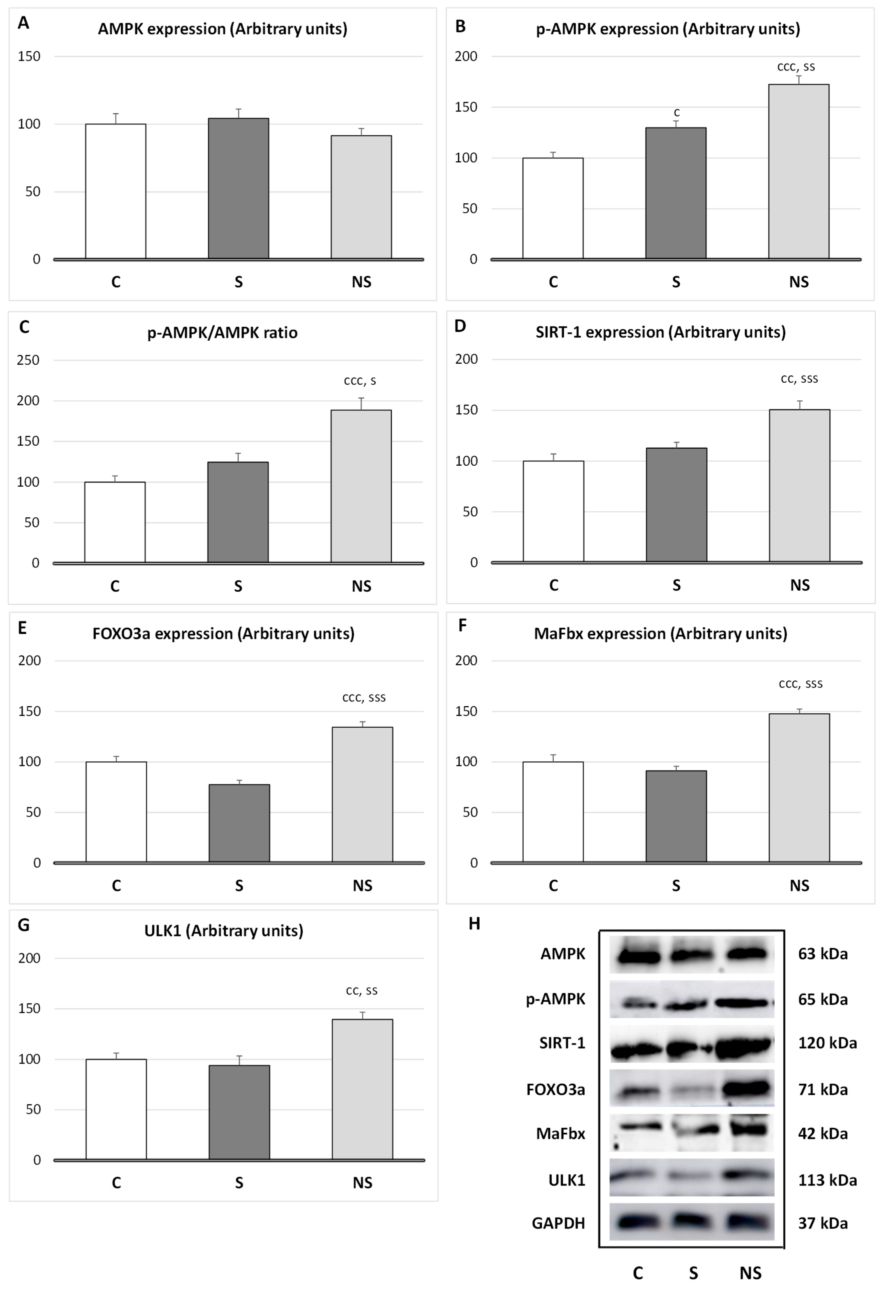Nutrients 17 01841 g004