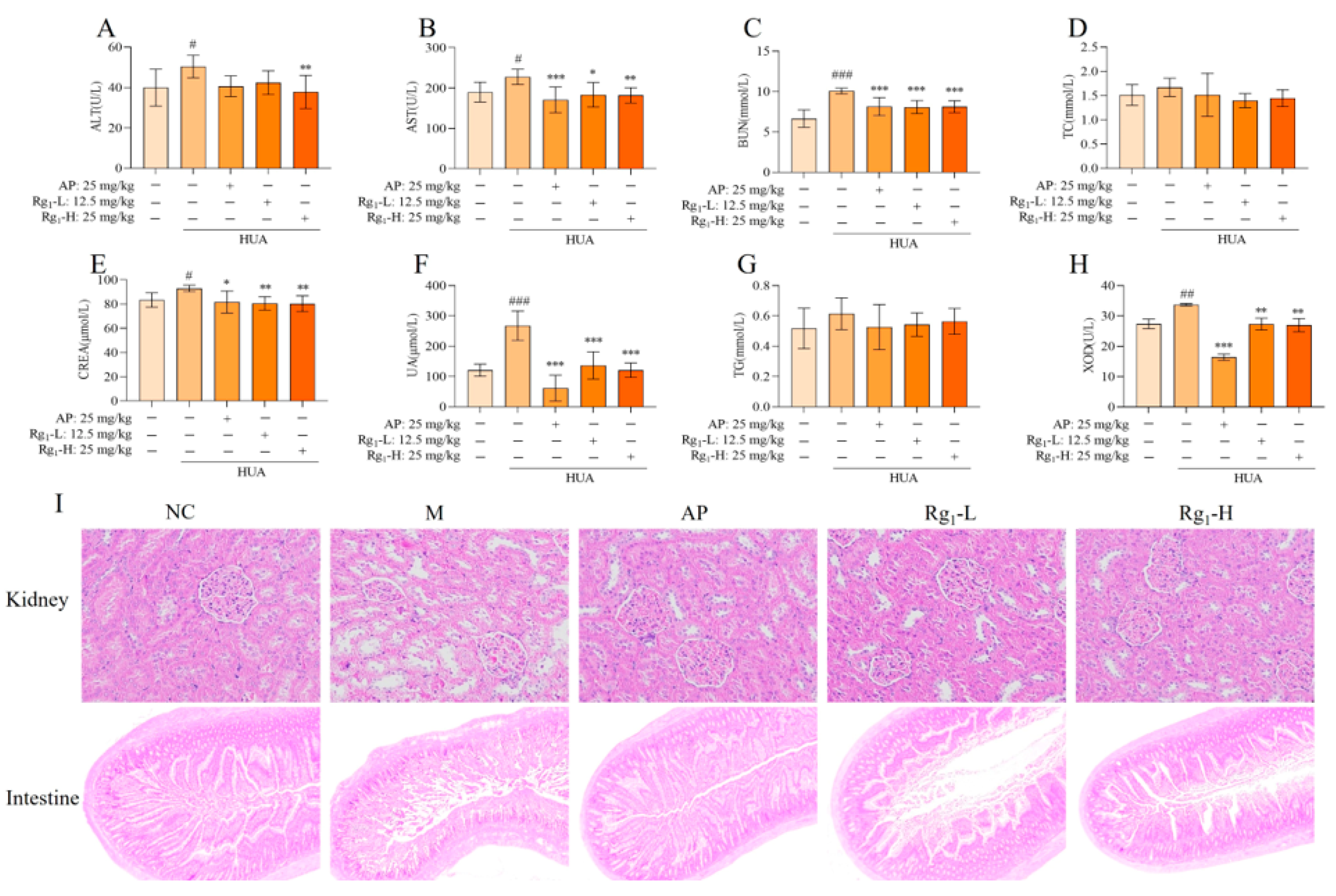 Nutrients 17 01844 g002