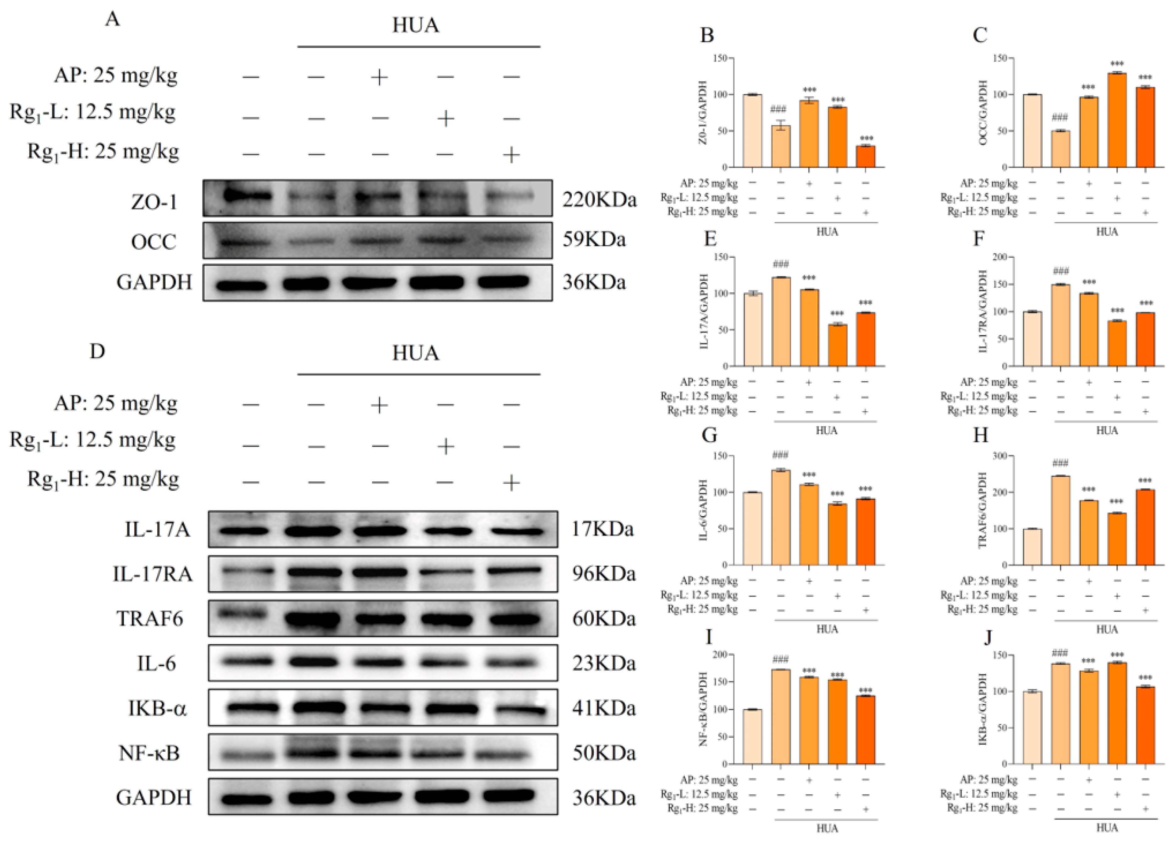 Nutrients 17 01844 g003