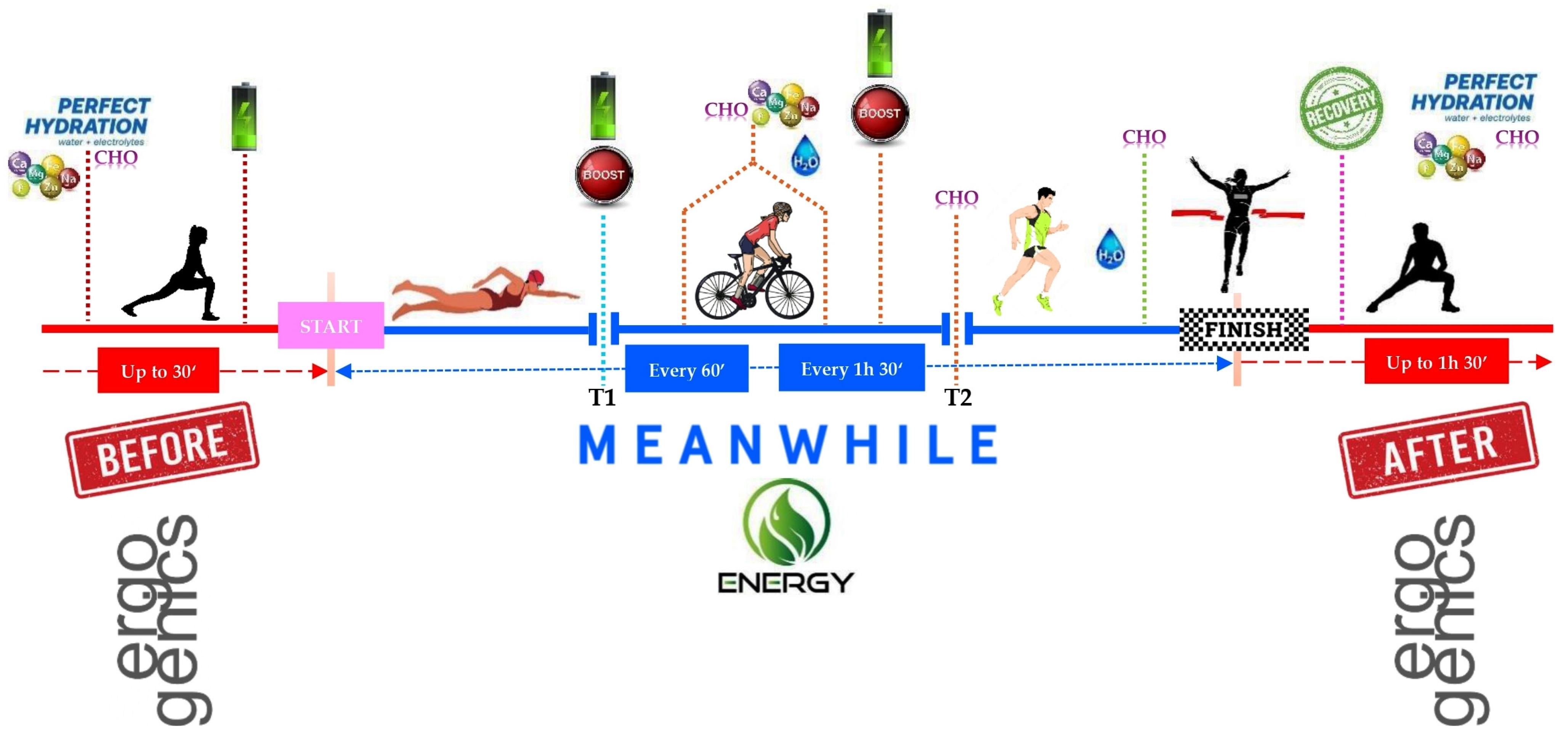 Nutrients 17 01846 g005