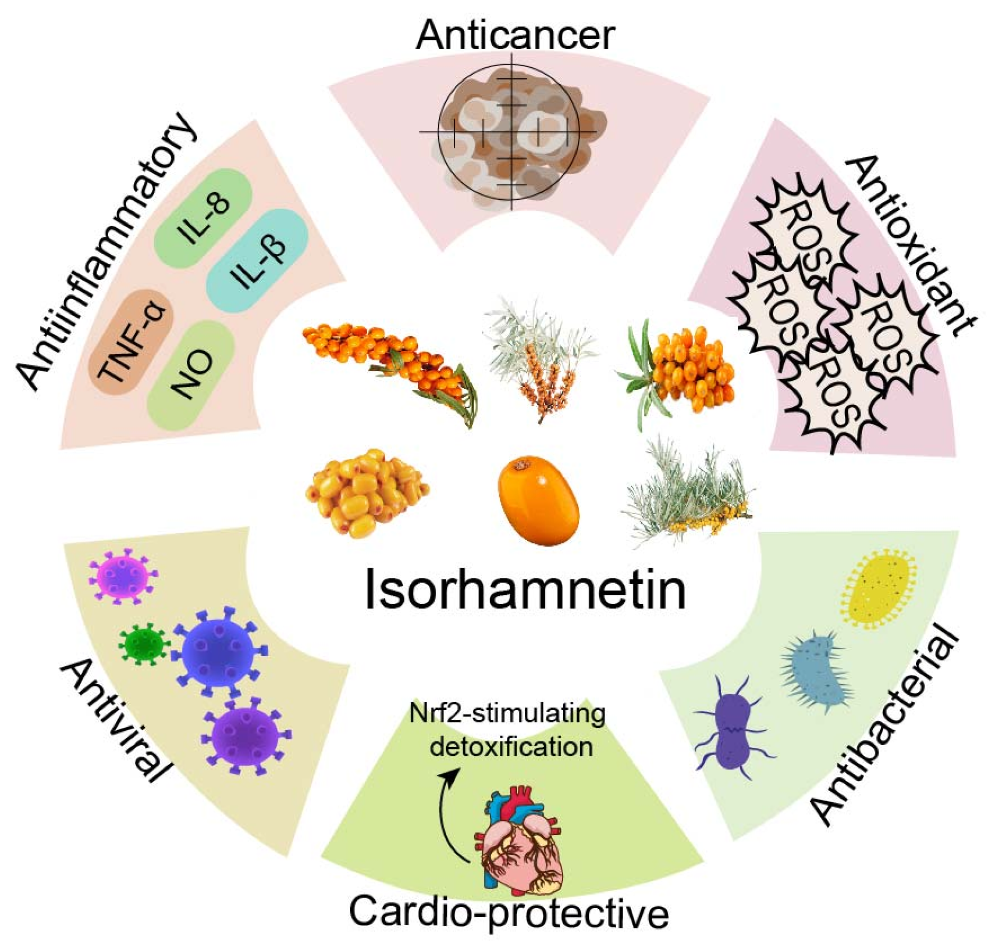 Nutrients 17 01853 g001