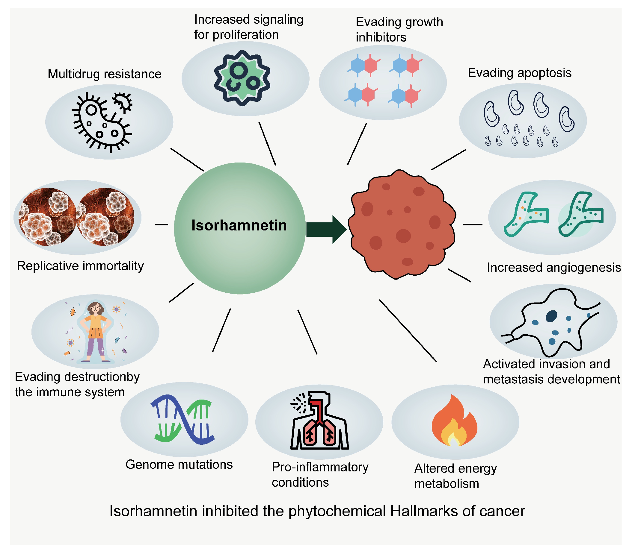 Nutrients 17 01853 g005
