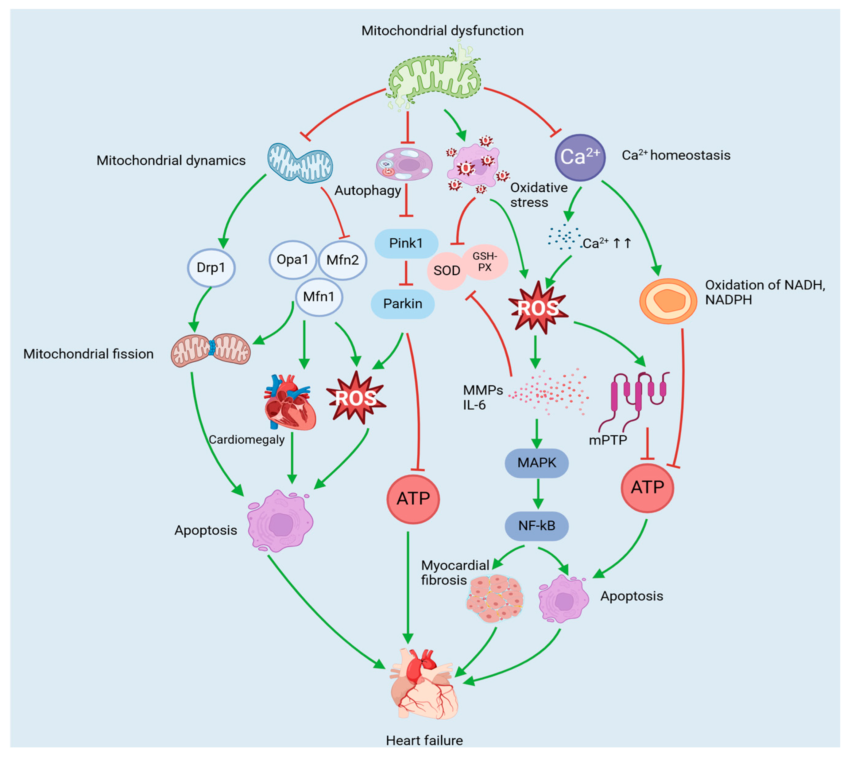 Nutrients 17 01855 g002